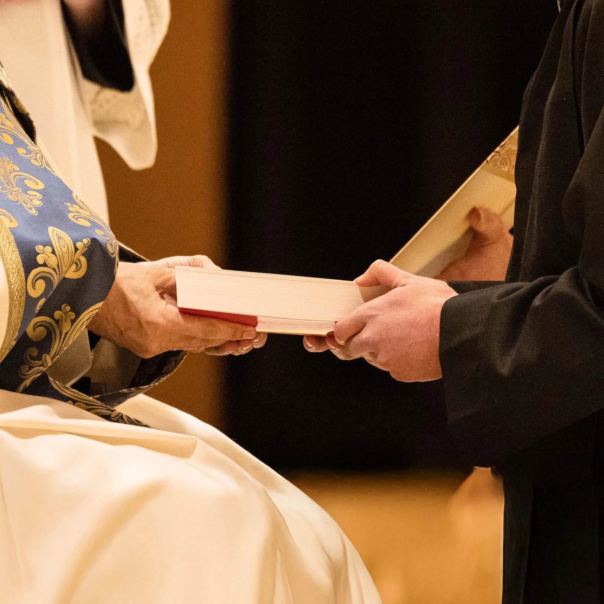 Novice Sponsorship - $500