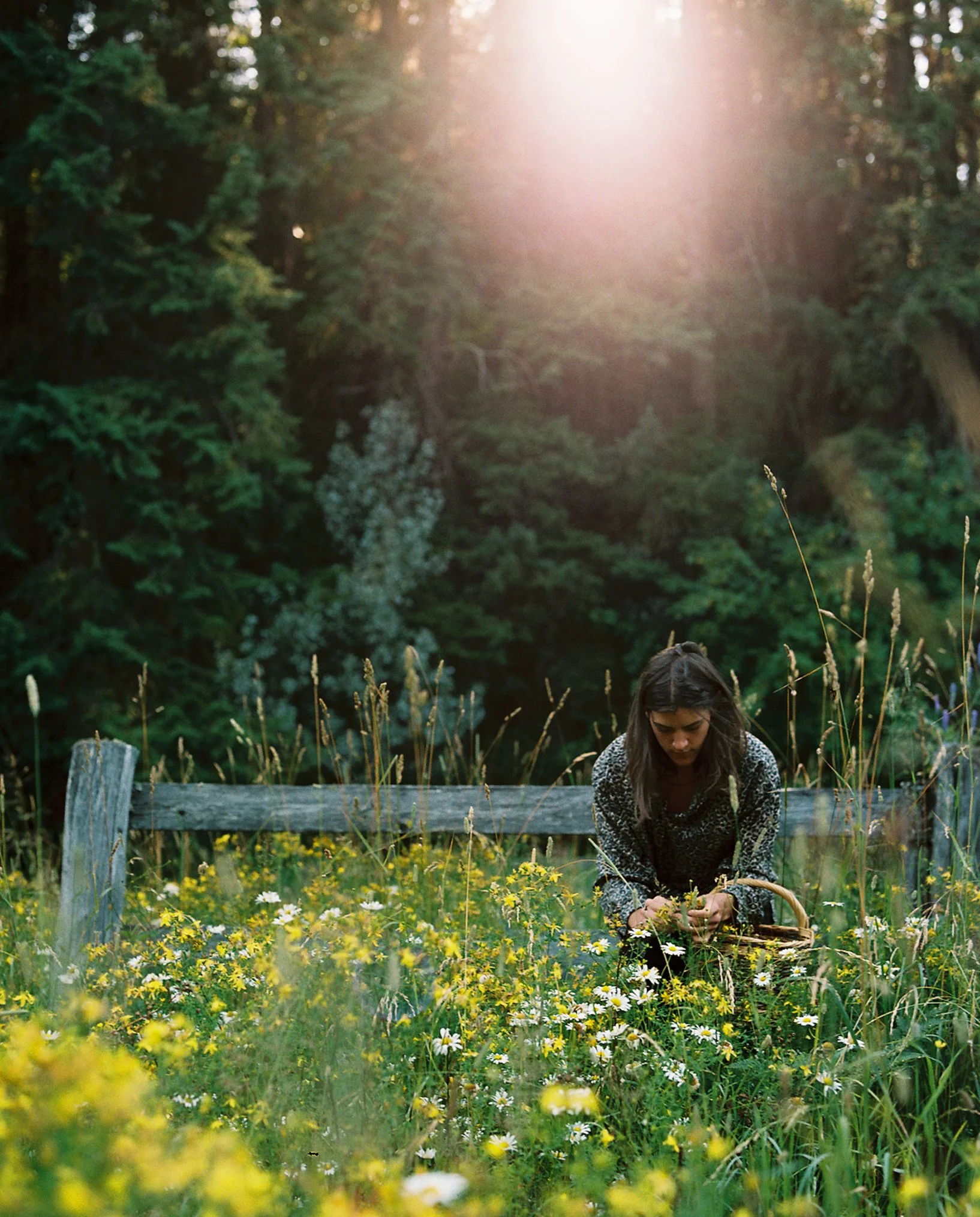 DanielleSoucie-PC Louis Bockner5.jpg