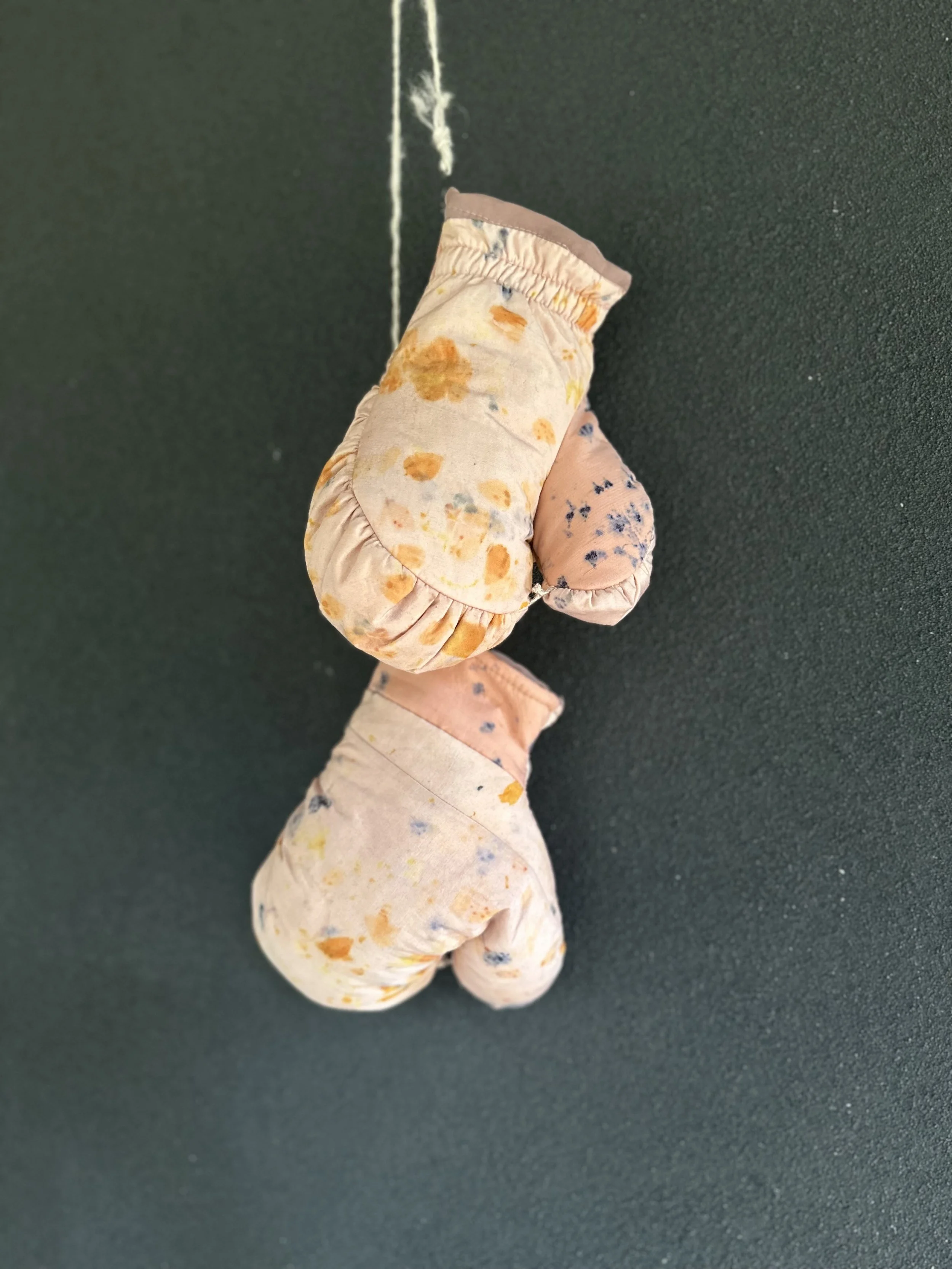 2 - Tracy Fillion.jpg