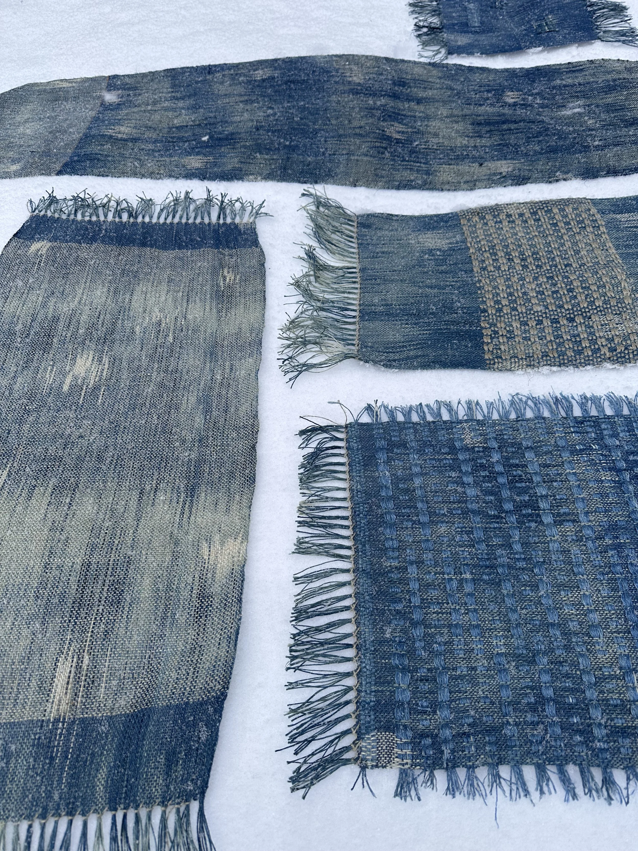 5 - Tracy Fillion.jpg