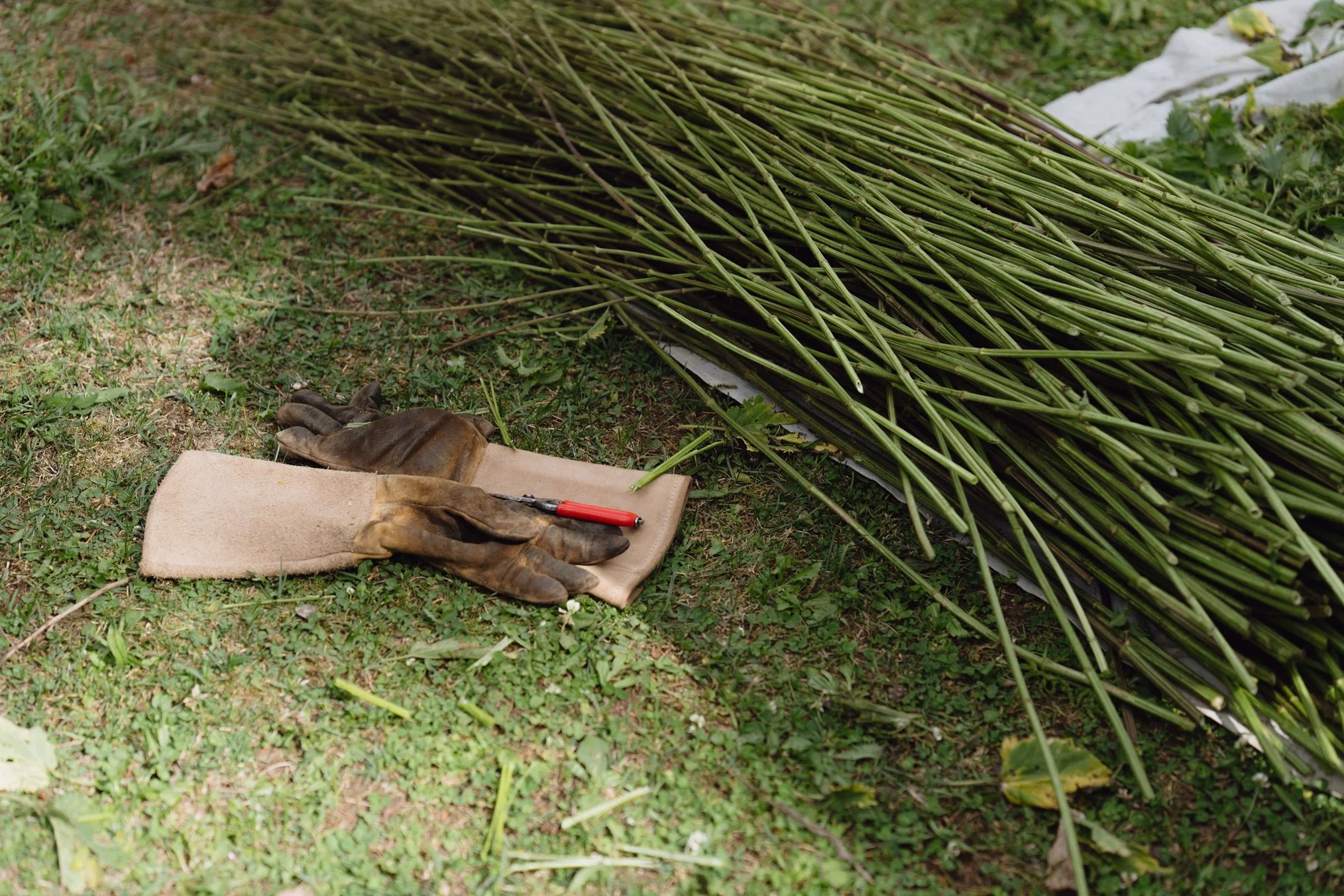 Material Processing: Natural Materials for Permacarnival