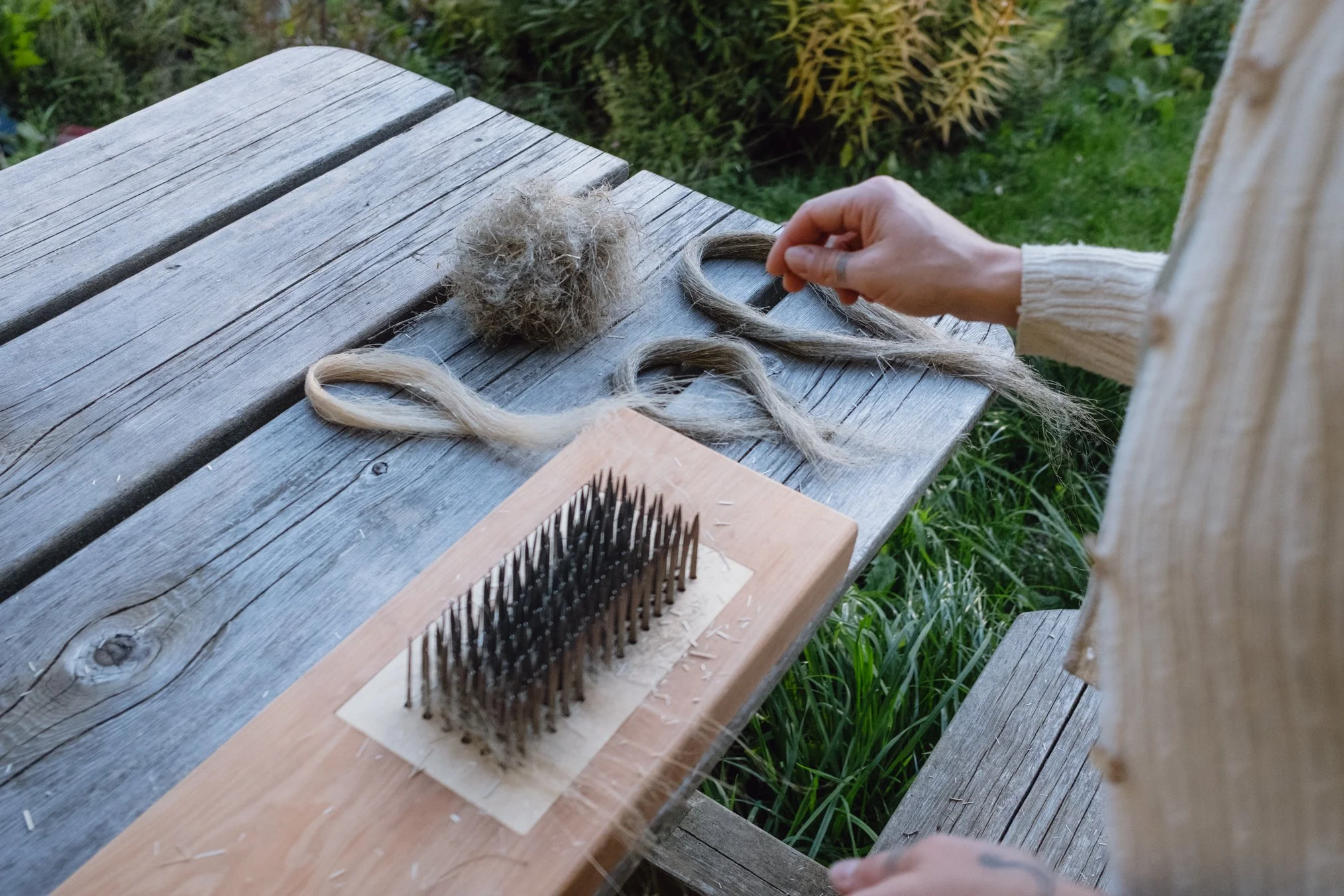 Flax fibre being processed using a hackle