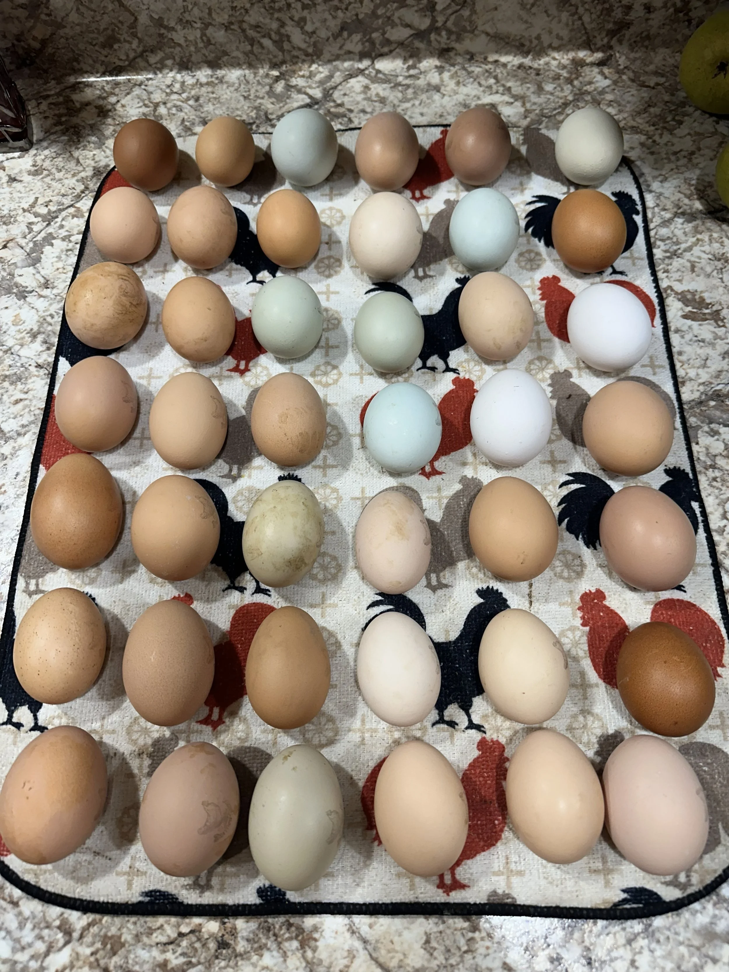 IMG_20260404_121554 (4).jpg