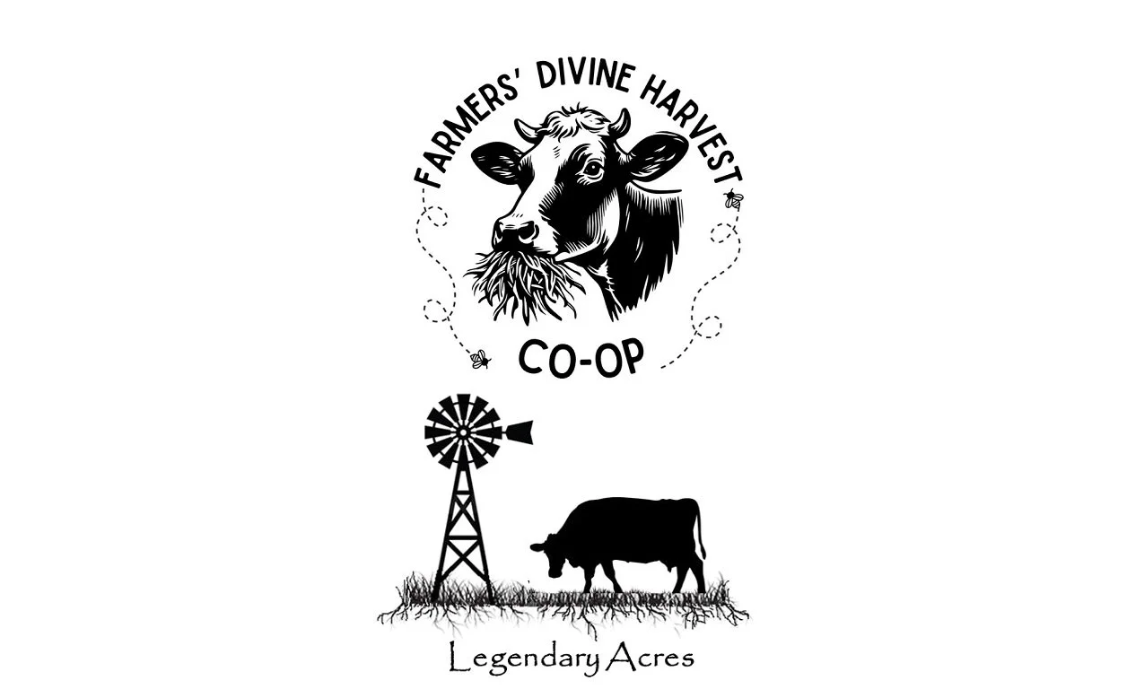 *Coming Soon!* Sample Size Homemade Laundry Detergent - Provided by Legendary Acres