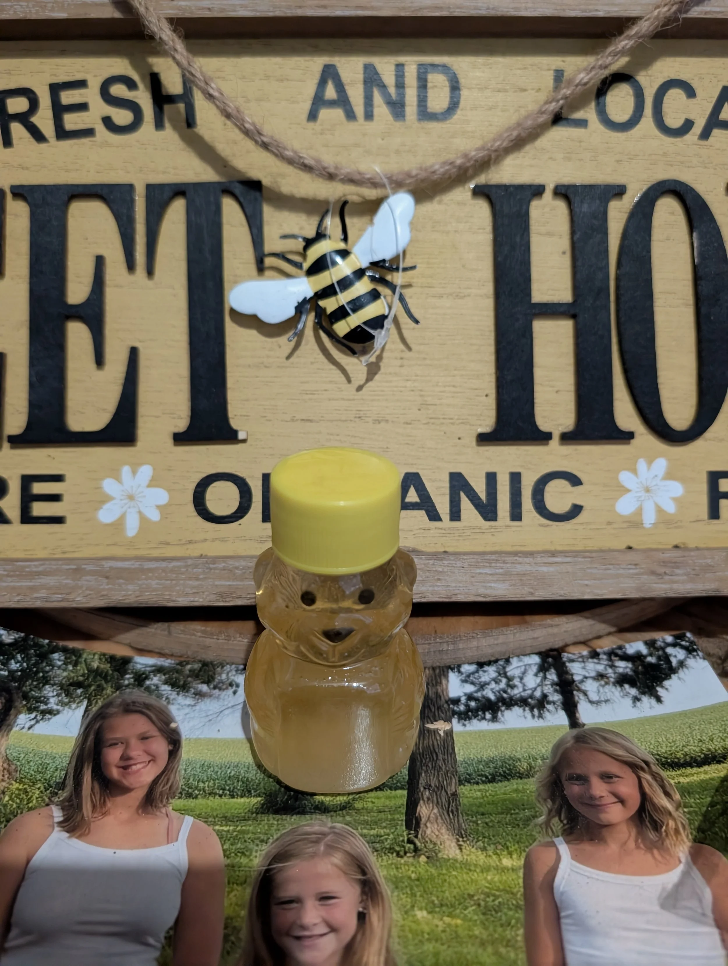 Local Raw Honey Small Bear - Provided by Colfax Farms & Three Honey's Honey
