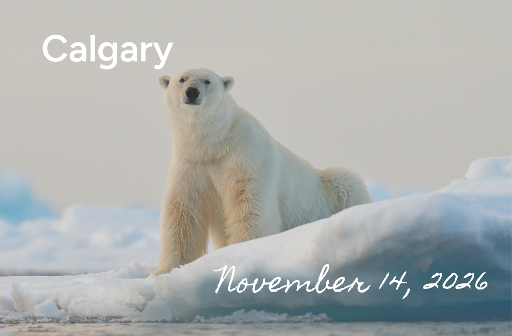 Polar Bear Safari Departing from Calgary, November 14, 2026