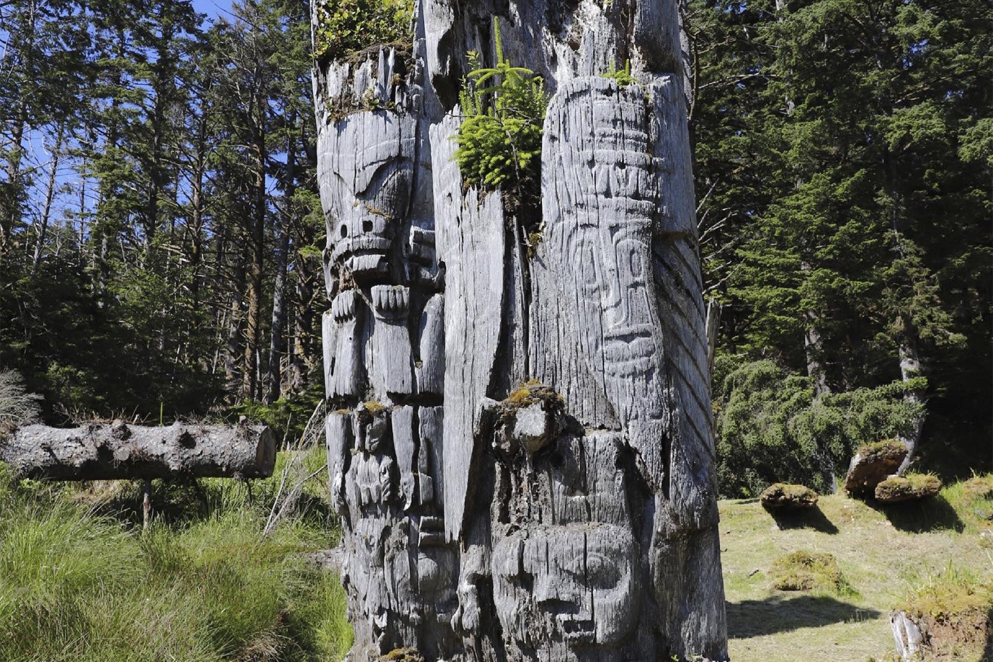 Haida Totems