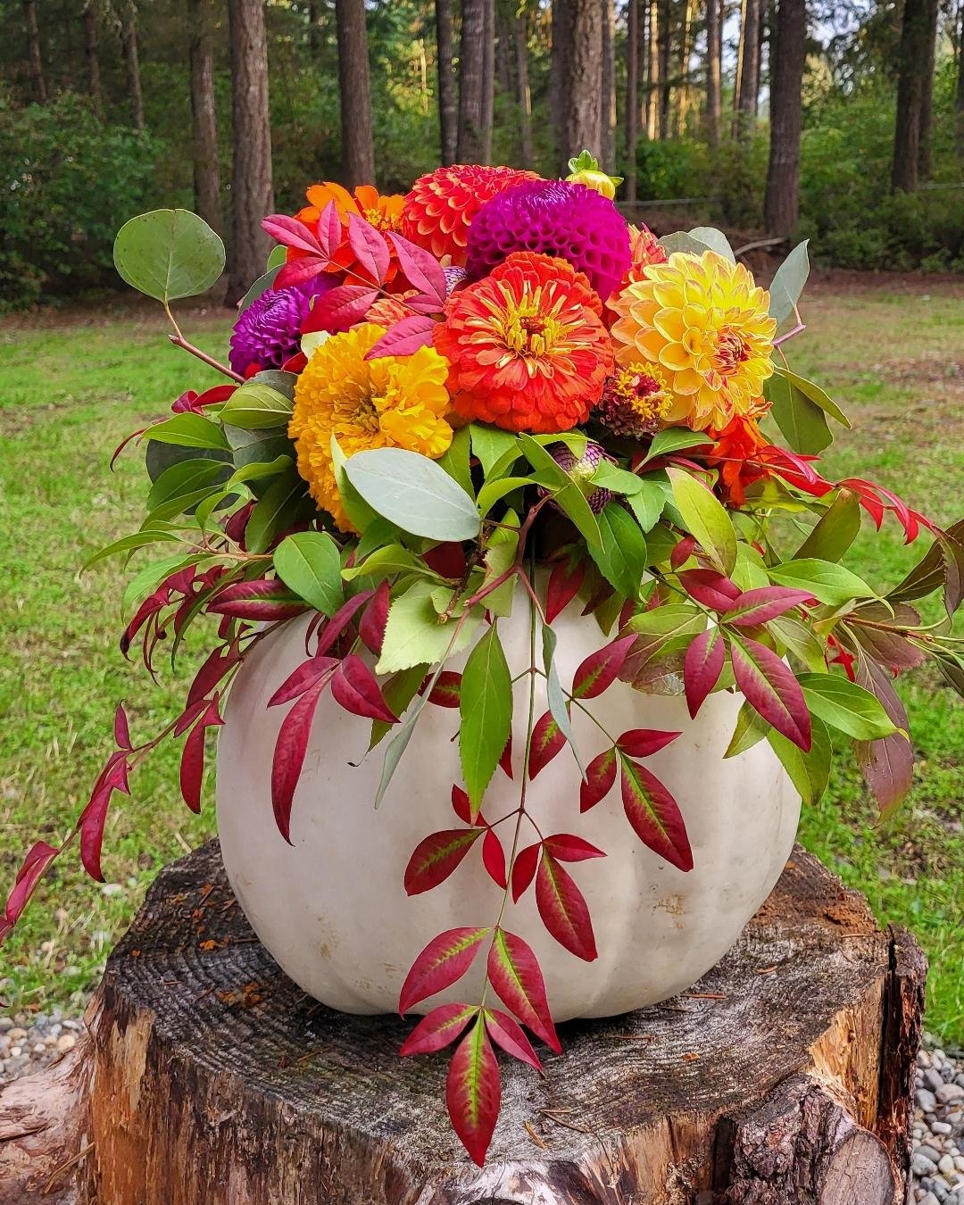 Fall Flower Subscription
