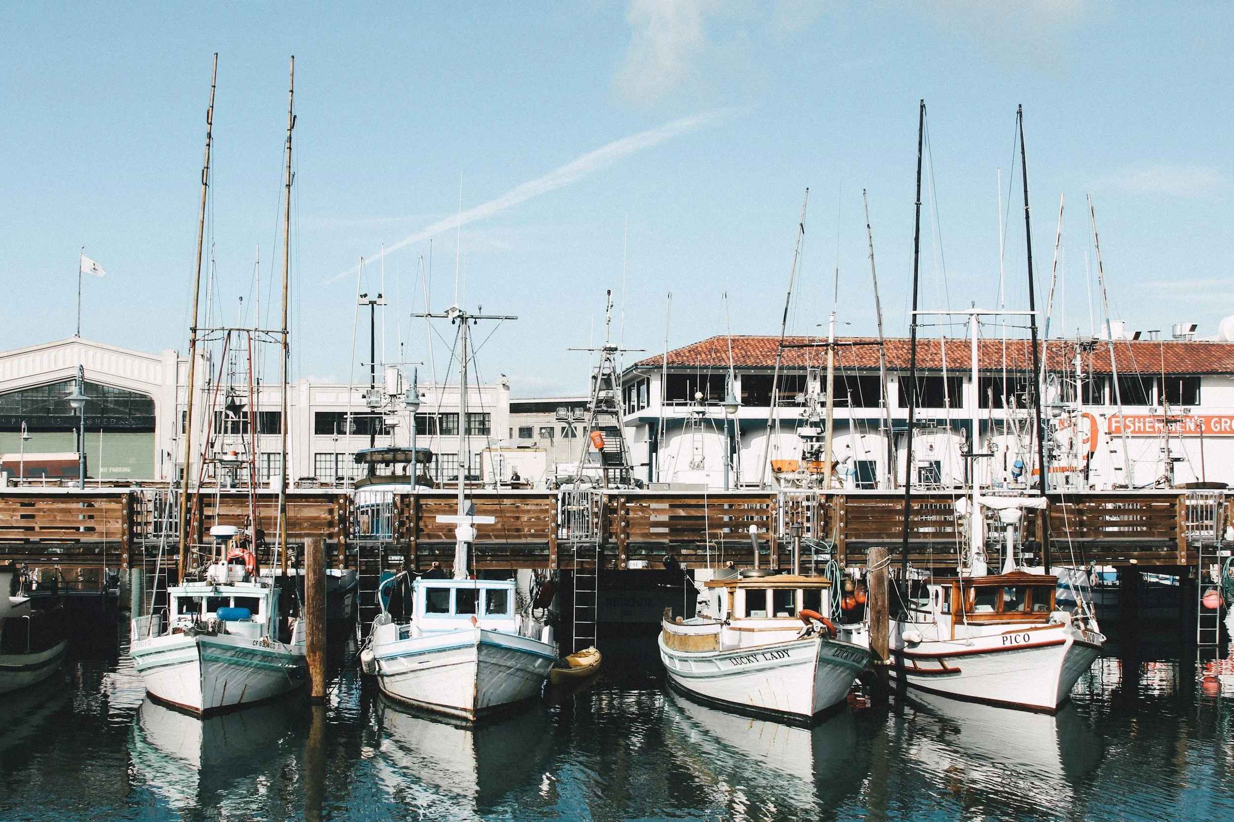 san francisco marina sailboats