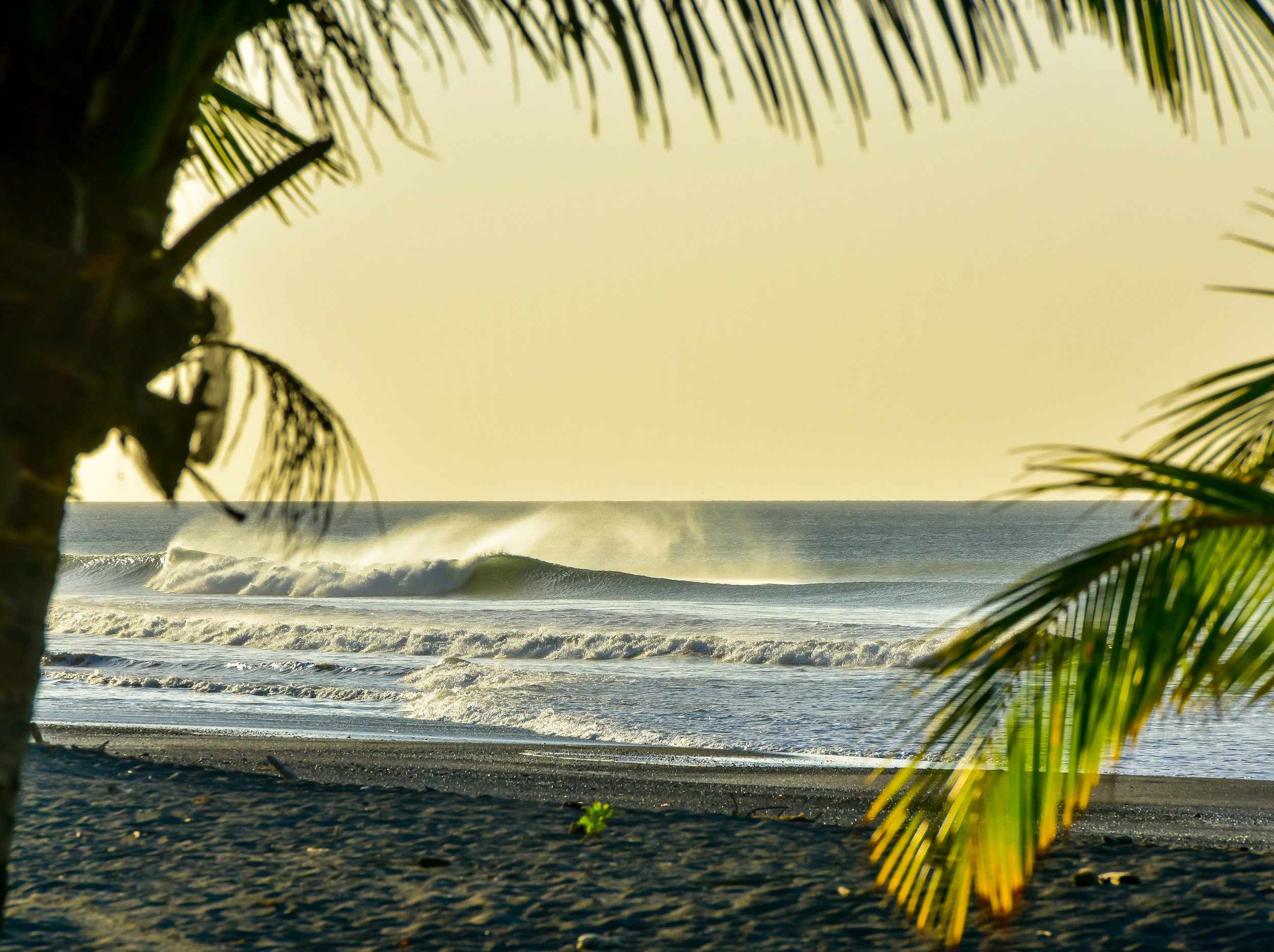 Sansara.Surf-6.jpg