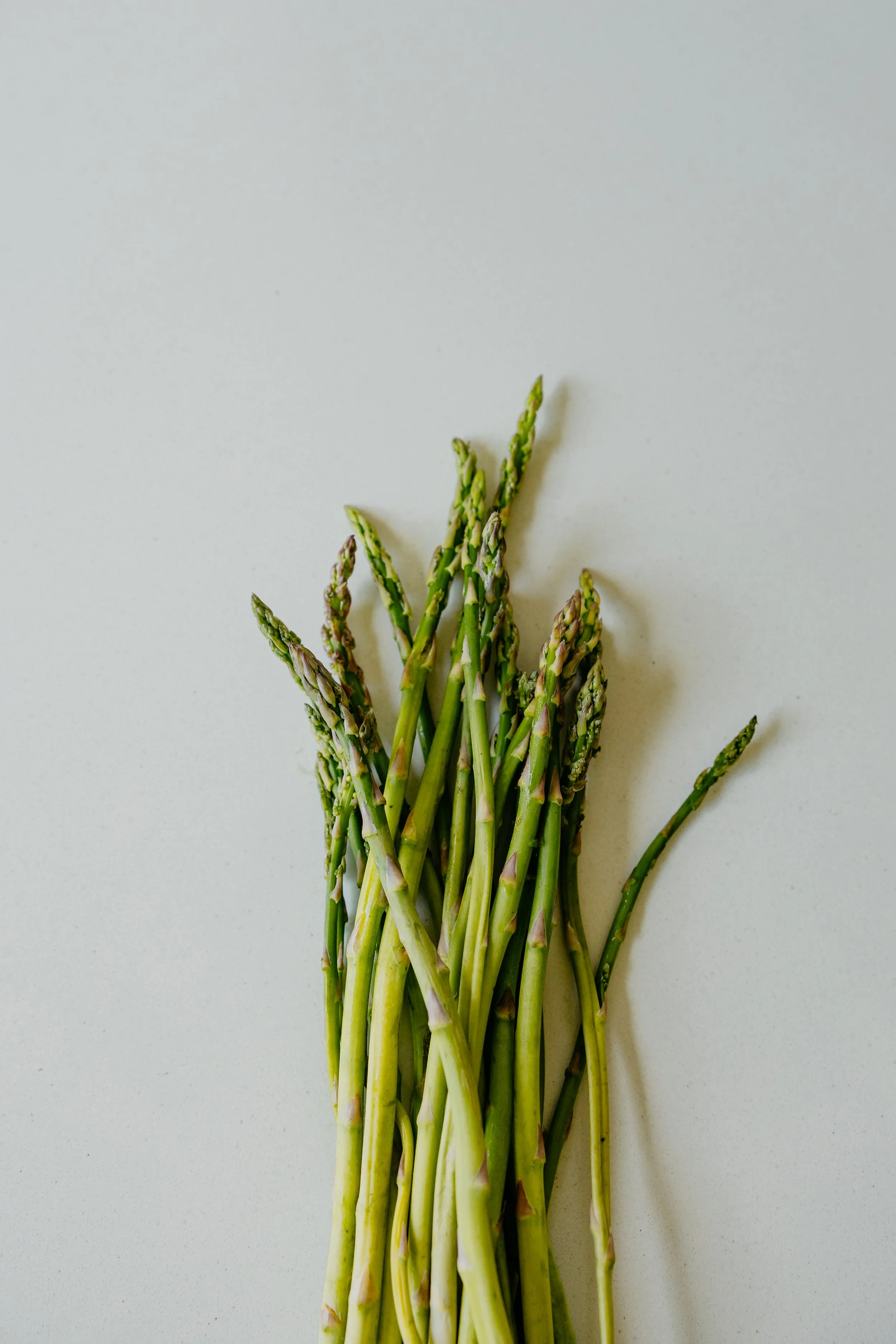 Légume présenté seul pour favoriser l’exposition progressive dans un contexte de sélectivité alimentaire