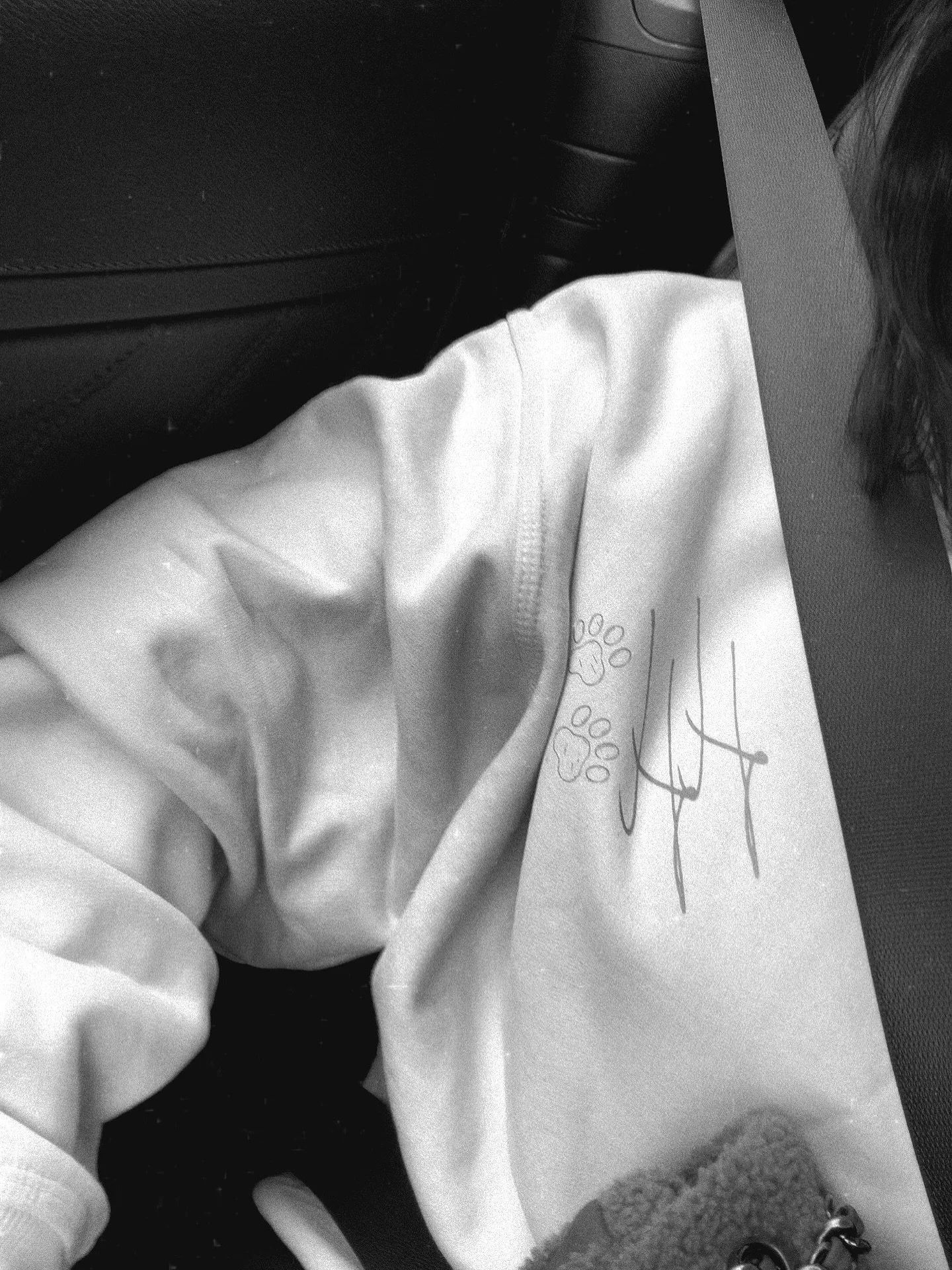 Comment &lsquo;Collie&rsquo; if you want this in the next drop&hellip;🐶🤎

#TheHampdenHounds #HampdenHounds #DesignedWithYouAndThemInMind #SmallBusiness #BuildingABrand