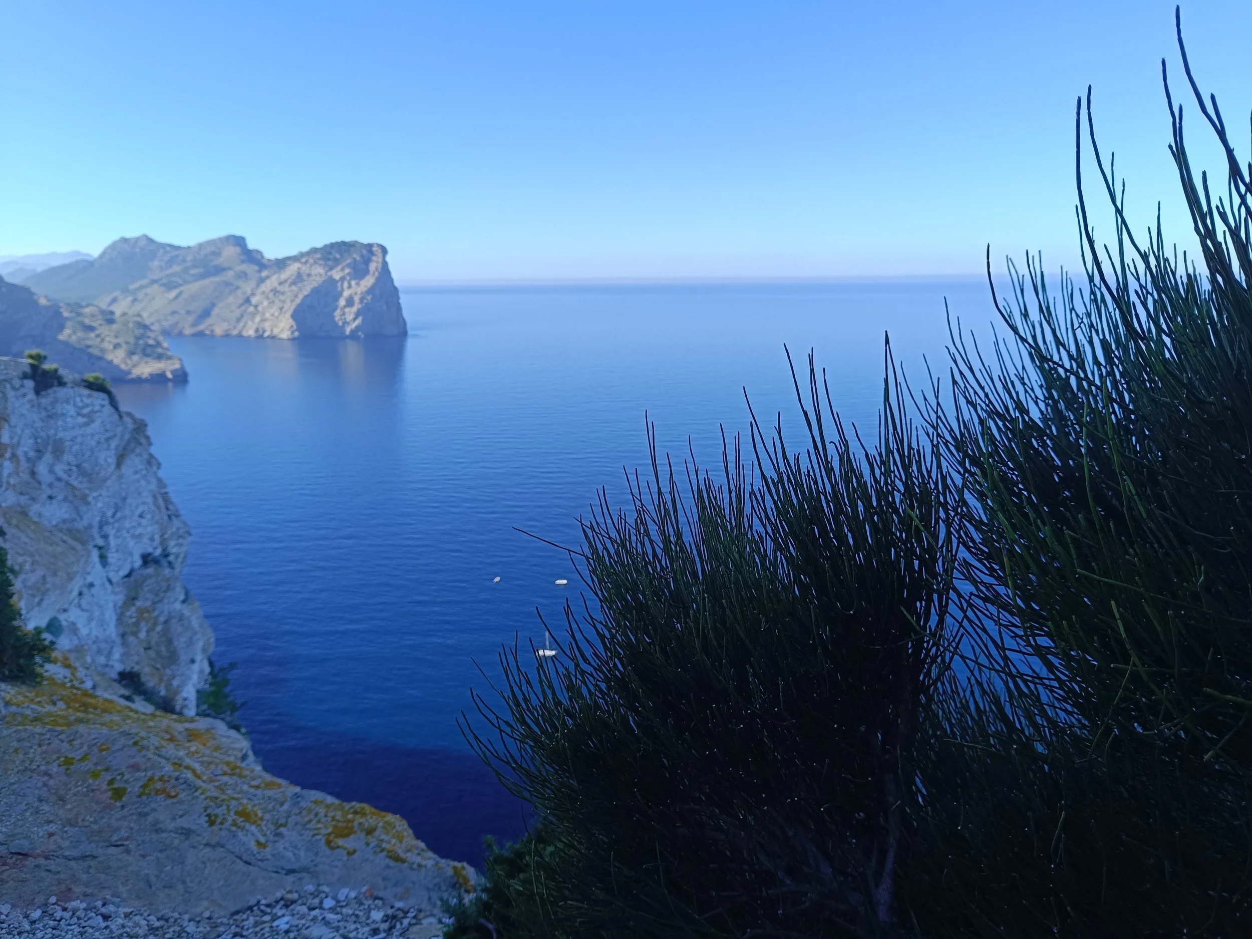 Inselblind