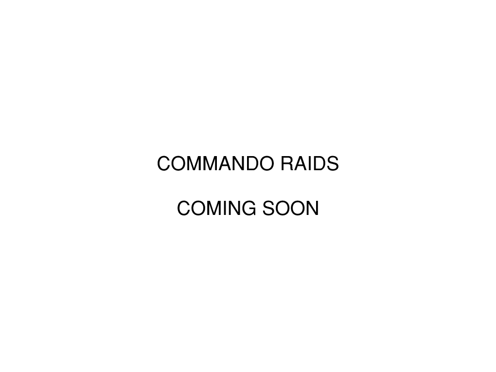 Commando Raids