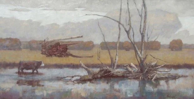 Cow in River