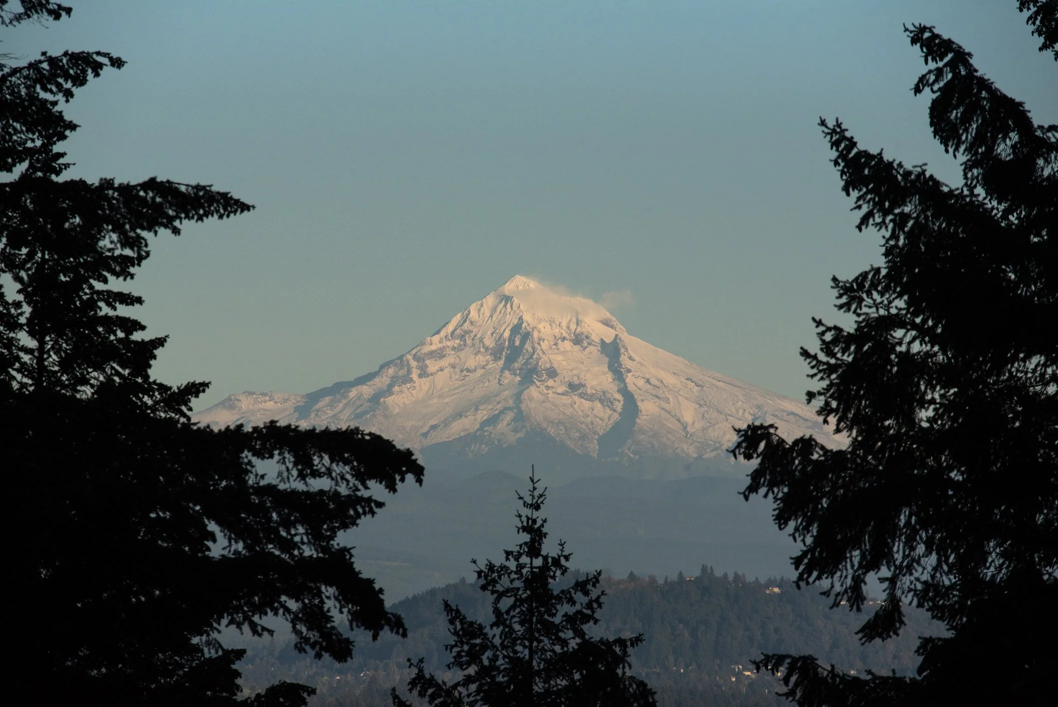  Living in Mount Tabor, Portland: Pros and Cons