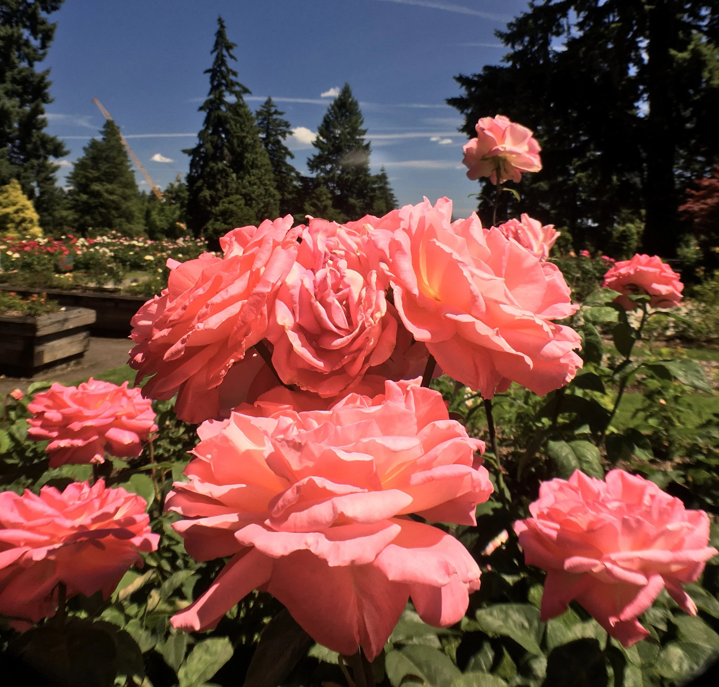 Moving from Seattle to Portland: What Actually Feels Different (and What Your Budget Gets You)