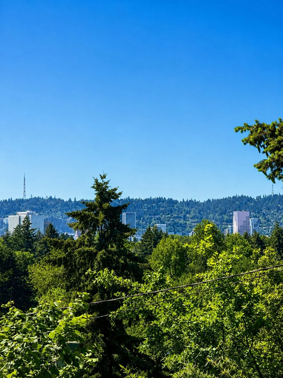 Alameda skyline.jpg