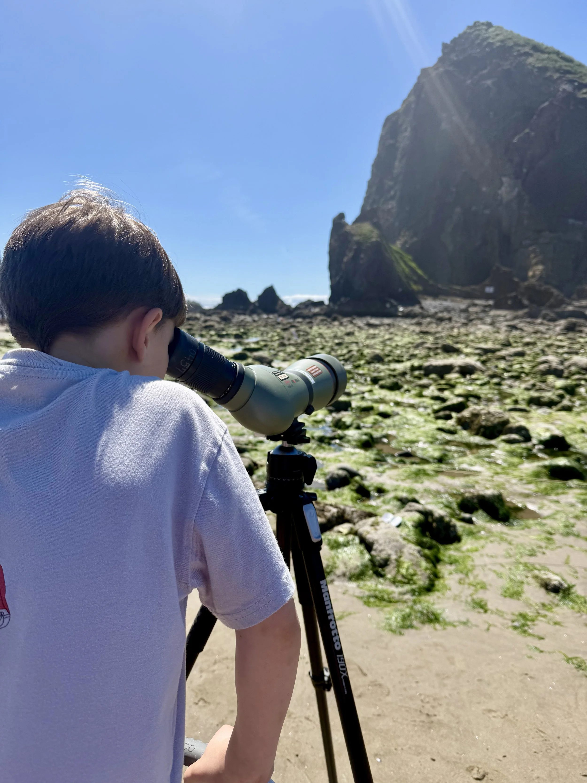 Cannon Beach Telescope.jpg