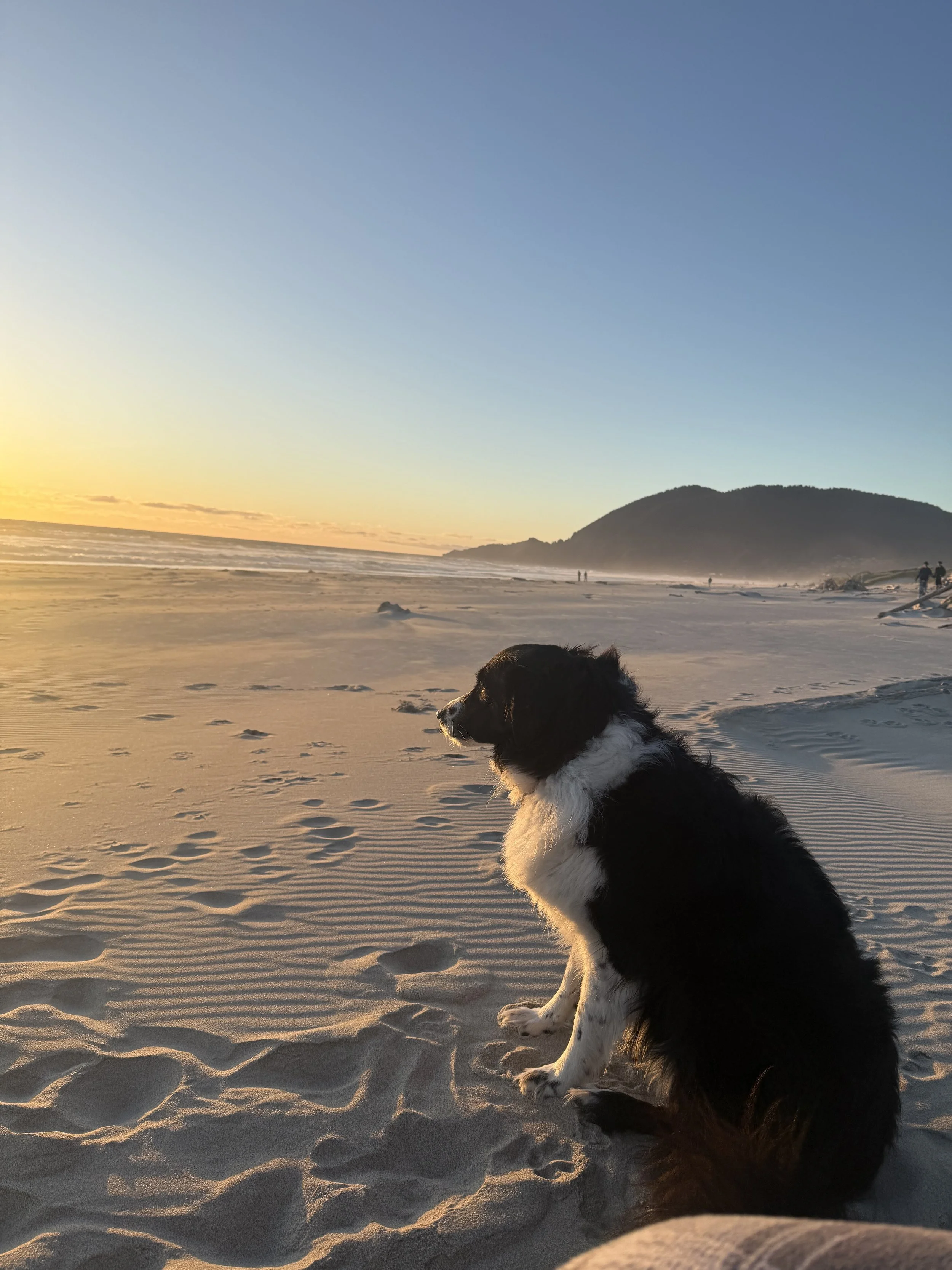 Our Favorite Northern Oregon Coast Road Trip: Long Beach, Astoria, Cannon Beach &amp; Manzanita 