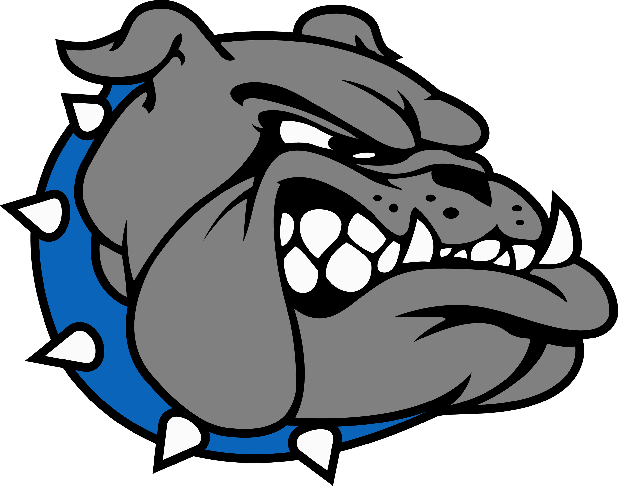 Carbon Hill HS