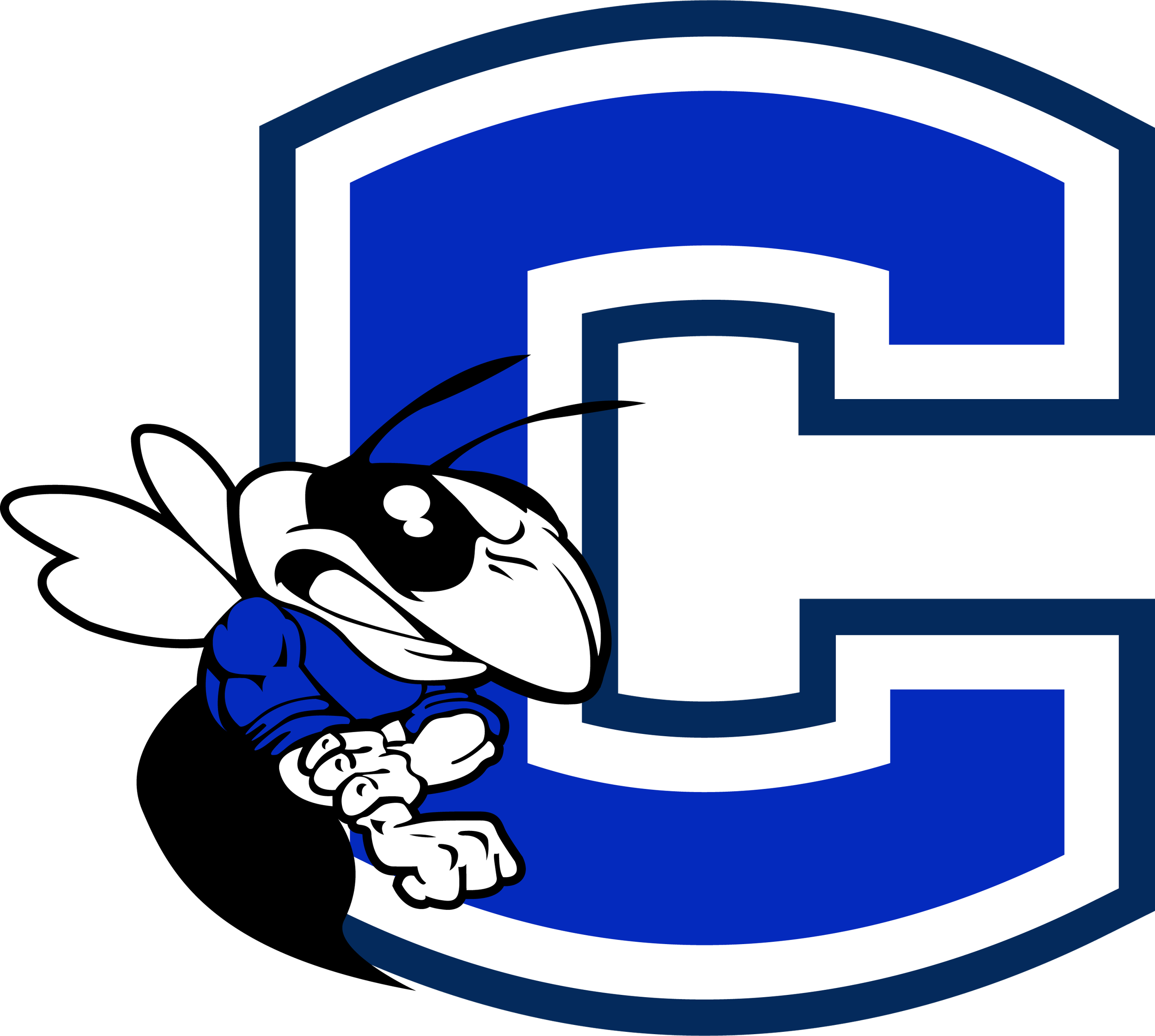 Chelsea HS
