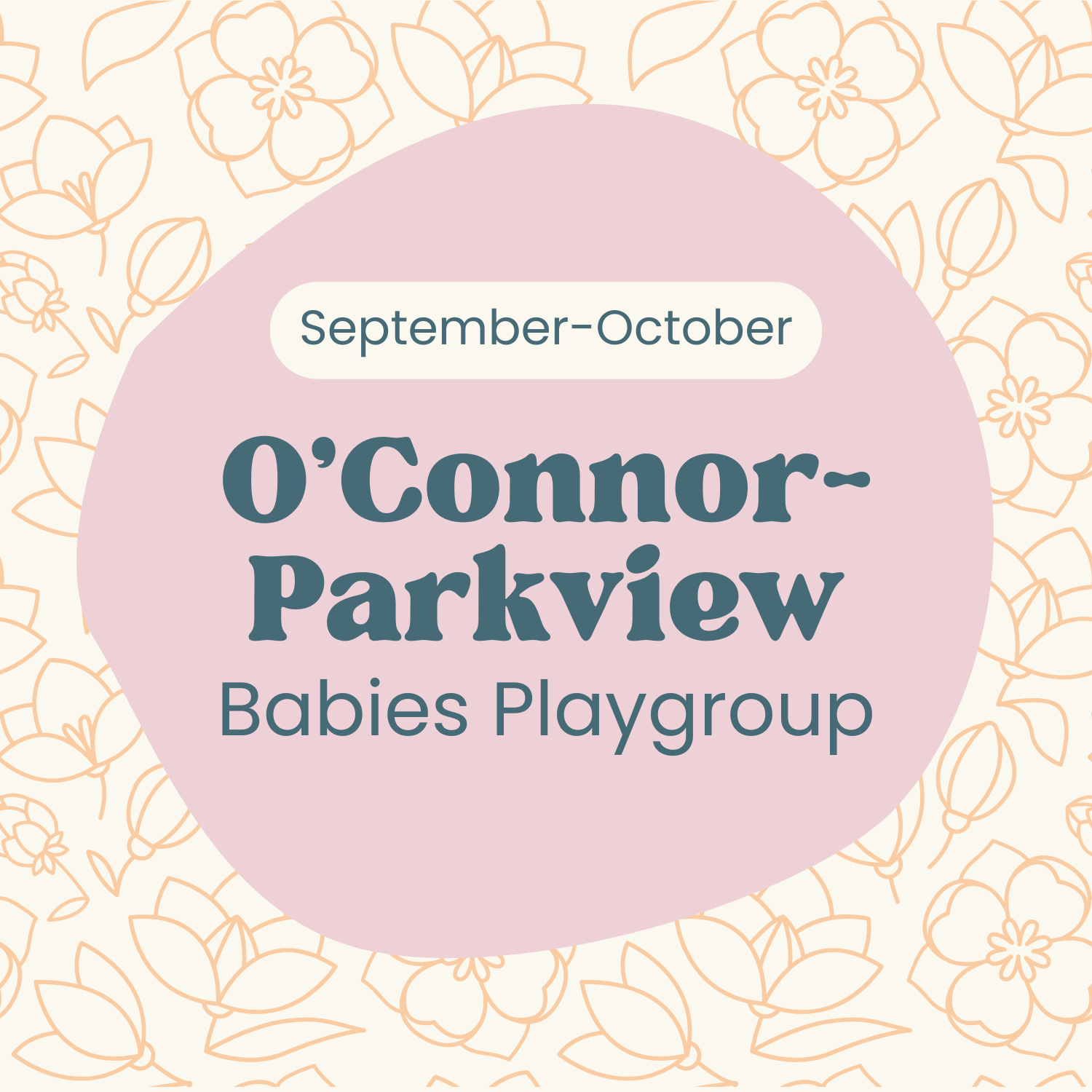 O'Connor-Parkview Babies