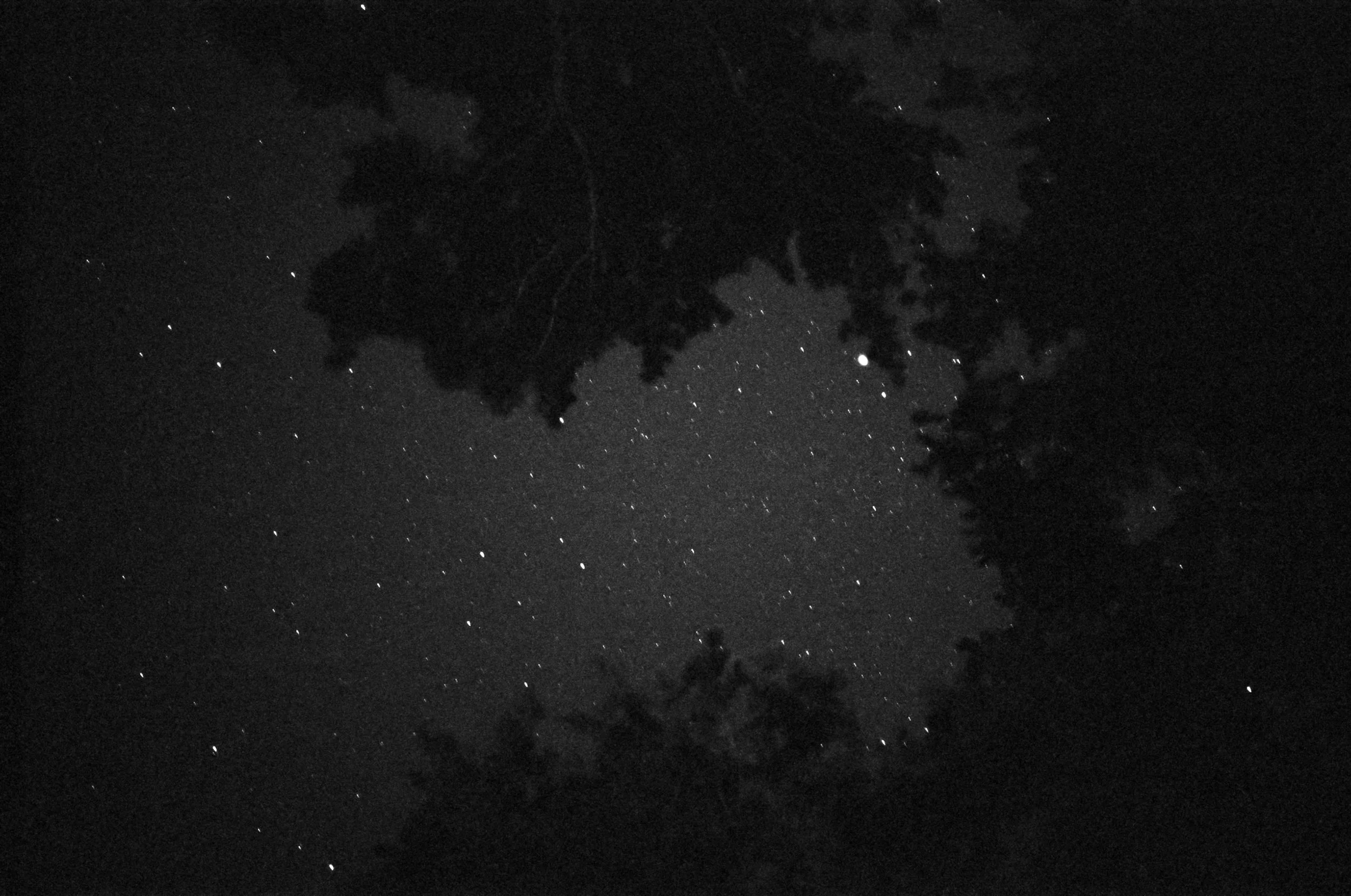 45_2025.49-4.35.11.jpg