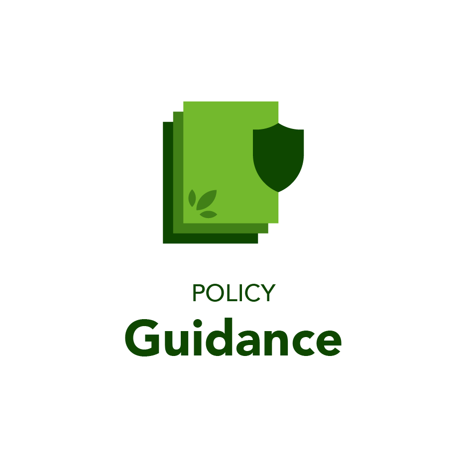Policy Guidance