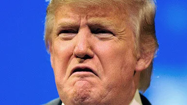Donald Trump: A Man of the People