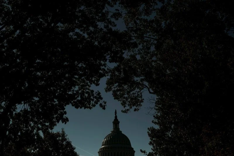 Democracy Threatened, The End Of The Rule Of Law