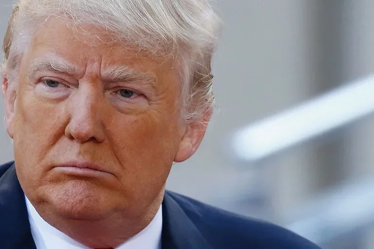 hive-contributor-profile-donald-trump.webp