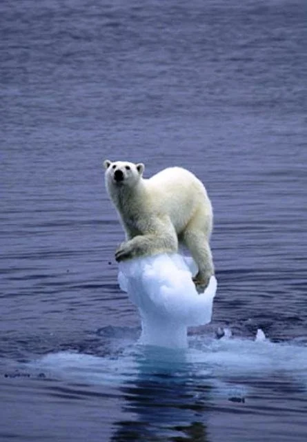 FT: Trump picks climate change sceptic to head environment agency