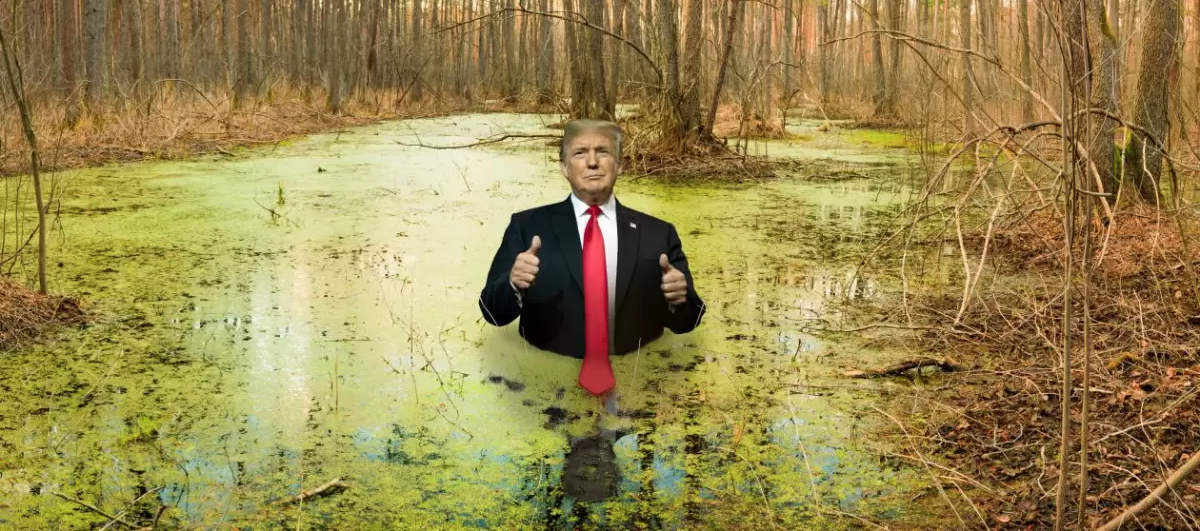 Donald Owns The Economic Swamp