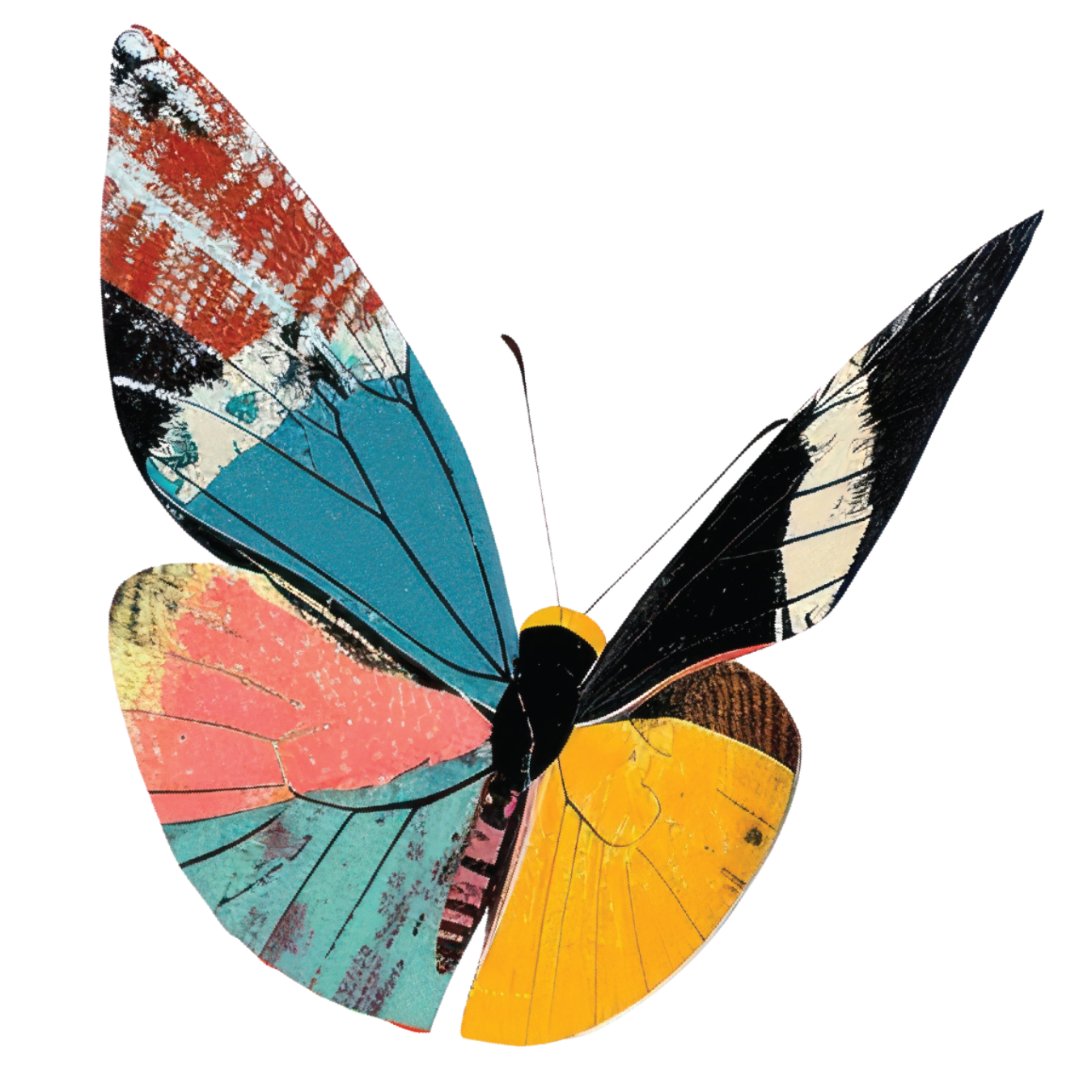 Not Your Rescue Project Book not-your-rescue-project-book