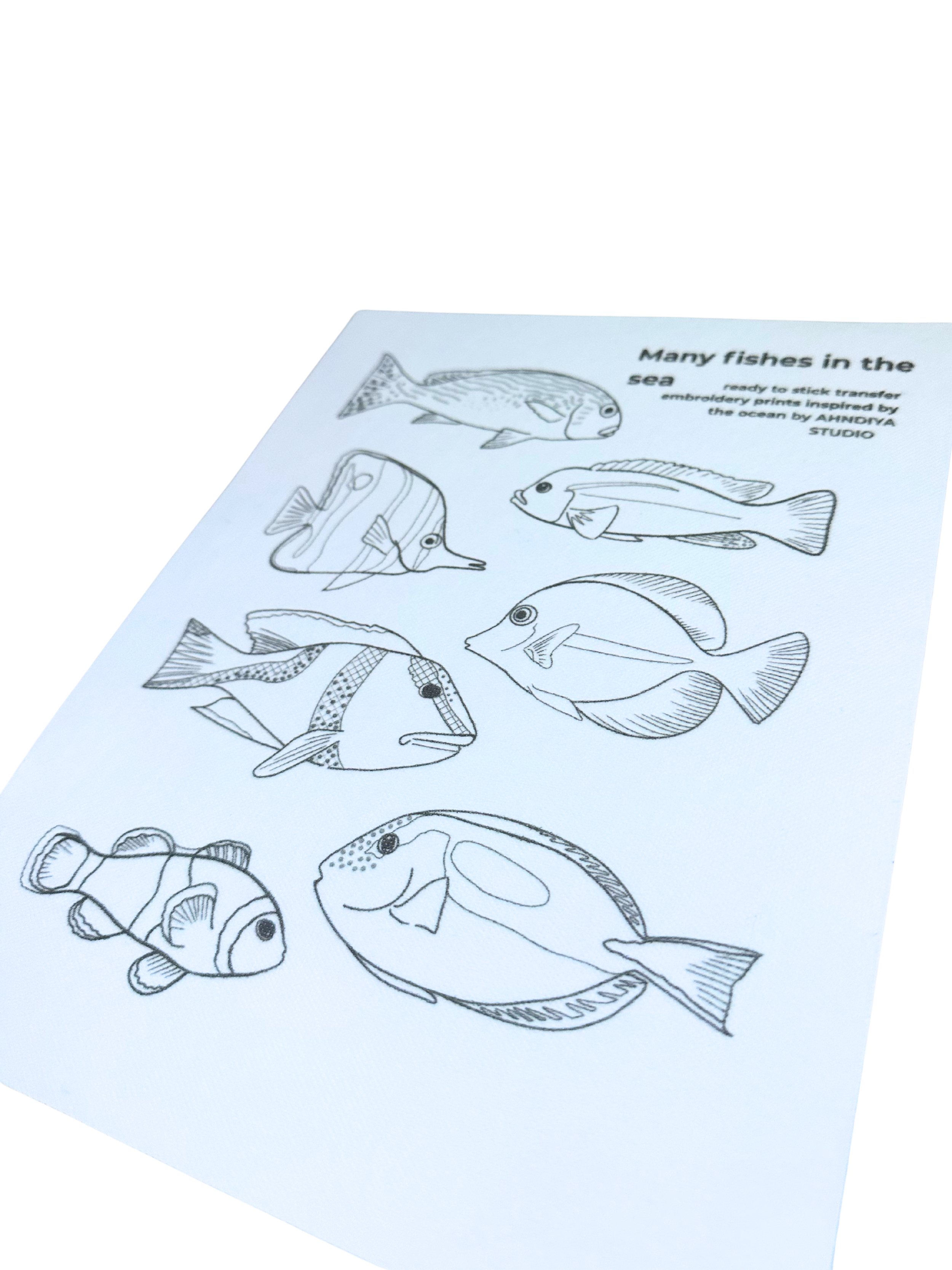 IMG_1962 - Edited - Edited (1).png