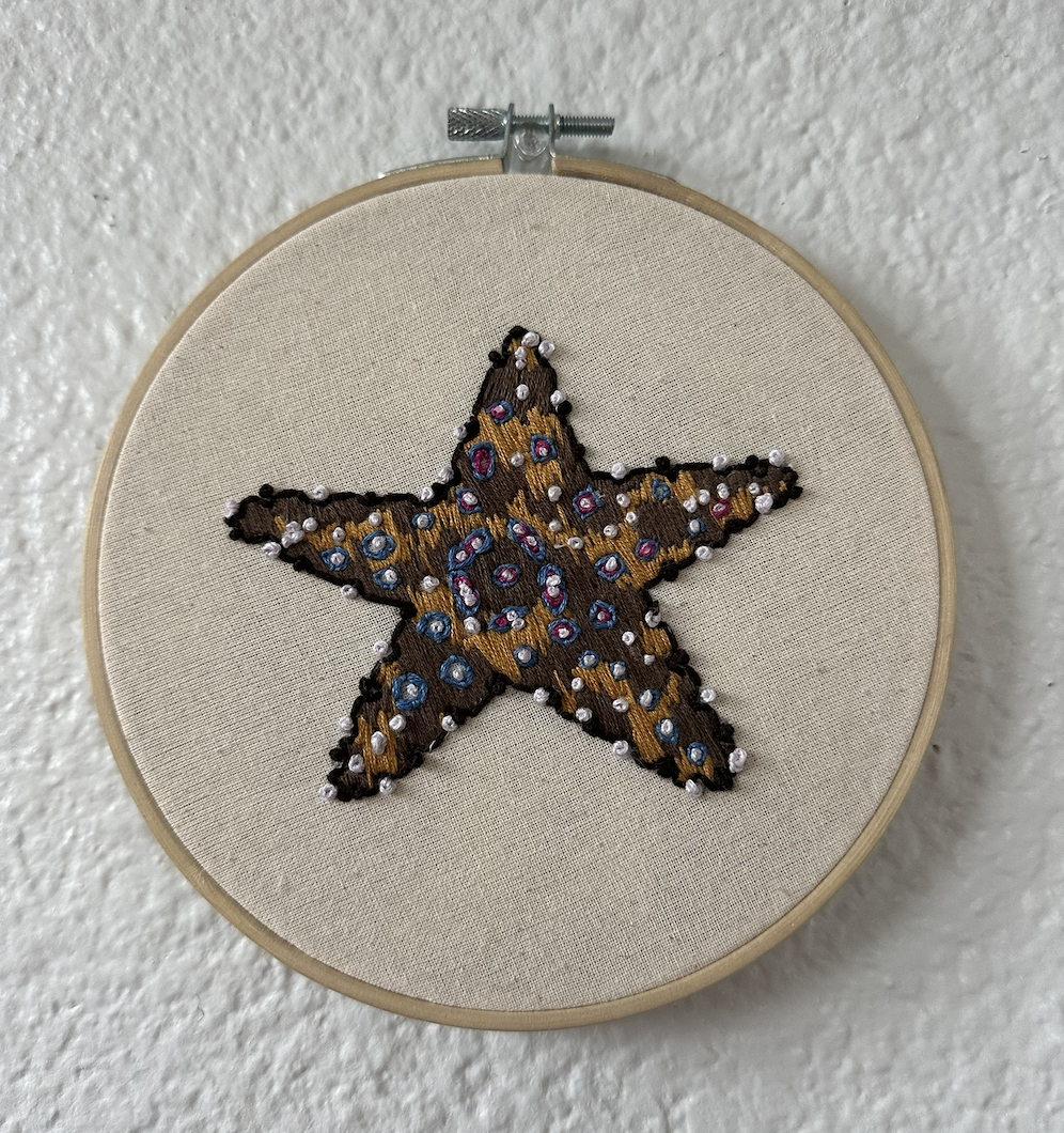 Screenshot 2026-01-29 at 10.28.38 AM.png