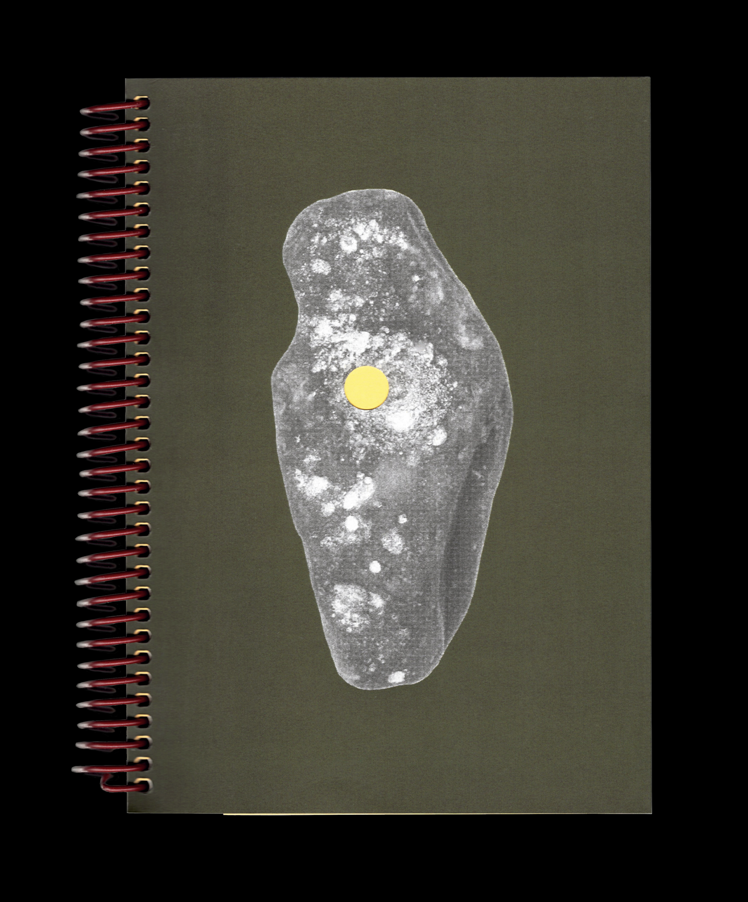 Conjonctures Céréalières