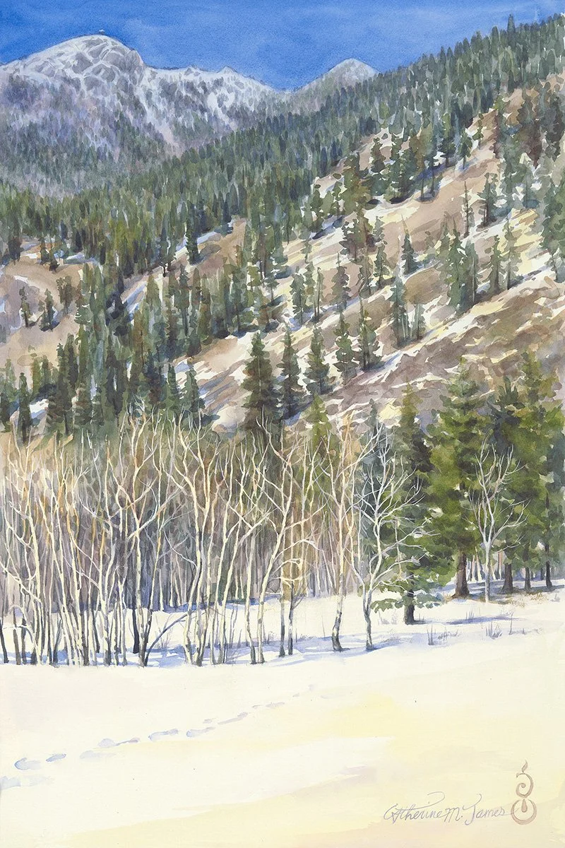 2026-03 Catherine M. James_Snowmelt.jpg