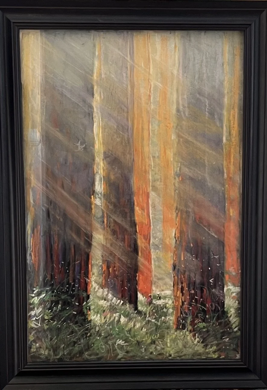 Old Growth I-90 Pacific Crest Trail