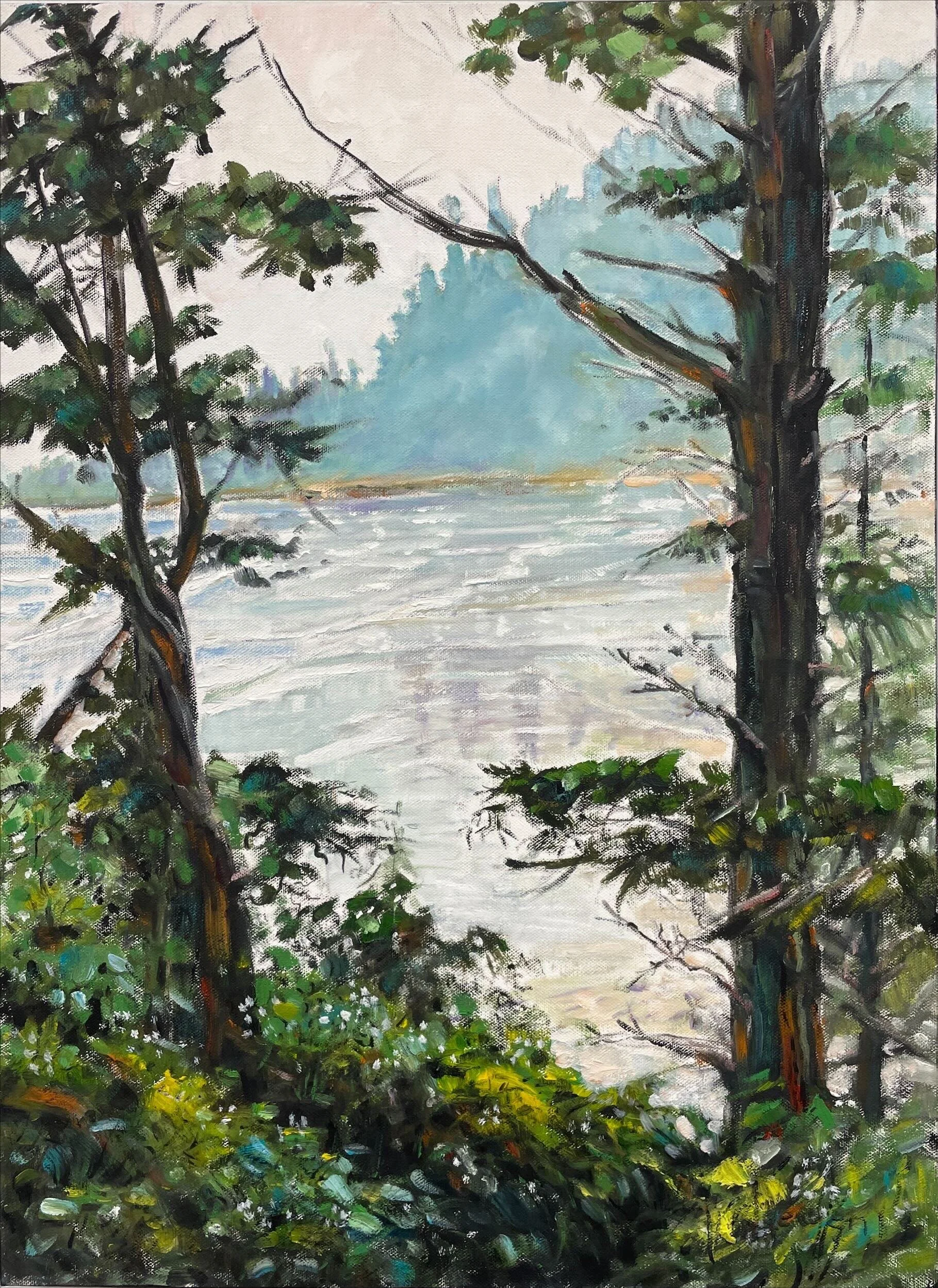 Northwest Washington Beach