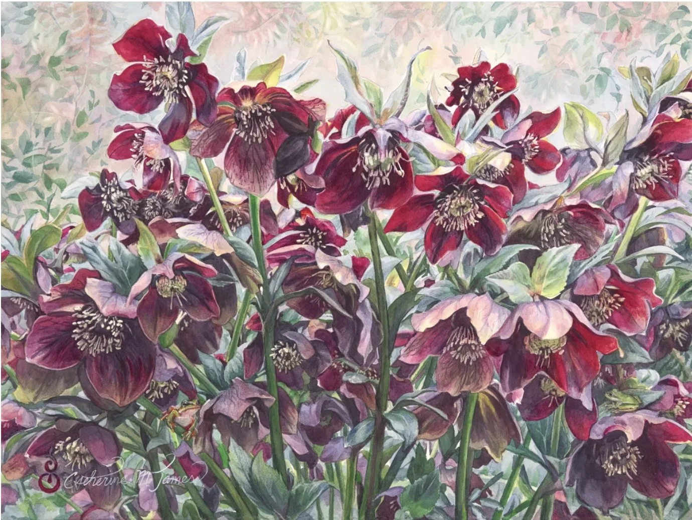 2026-03 Catherine James - Rubies.jpg