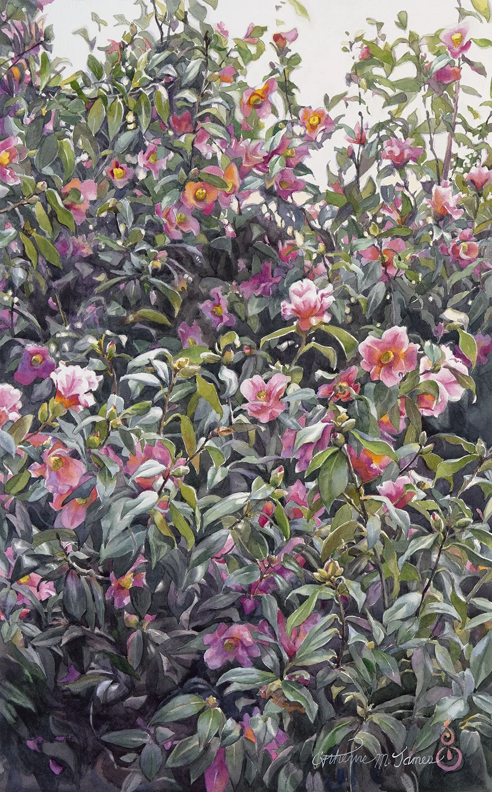 2026-03 Catherine M. James_Camellia Cascade.jpg