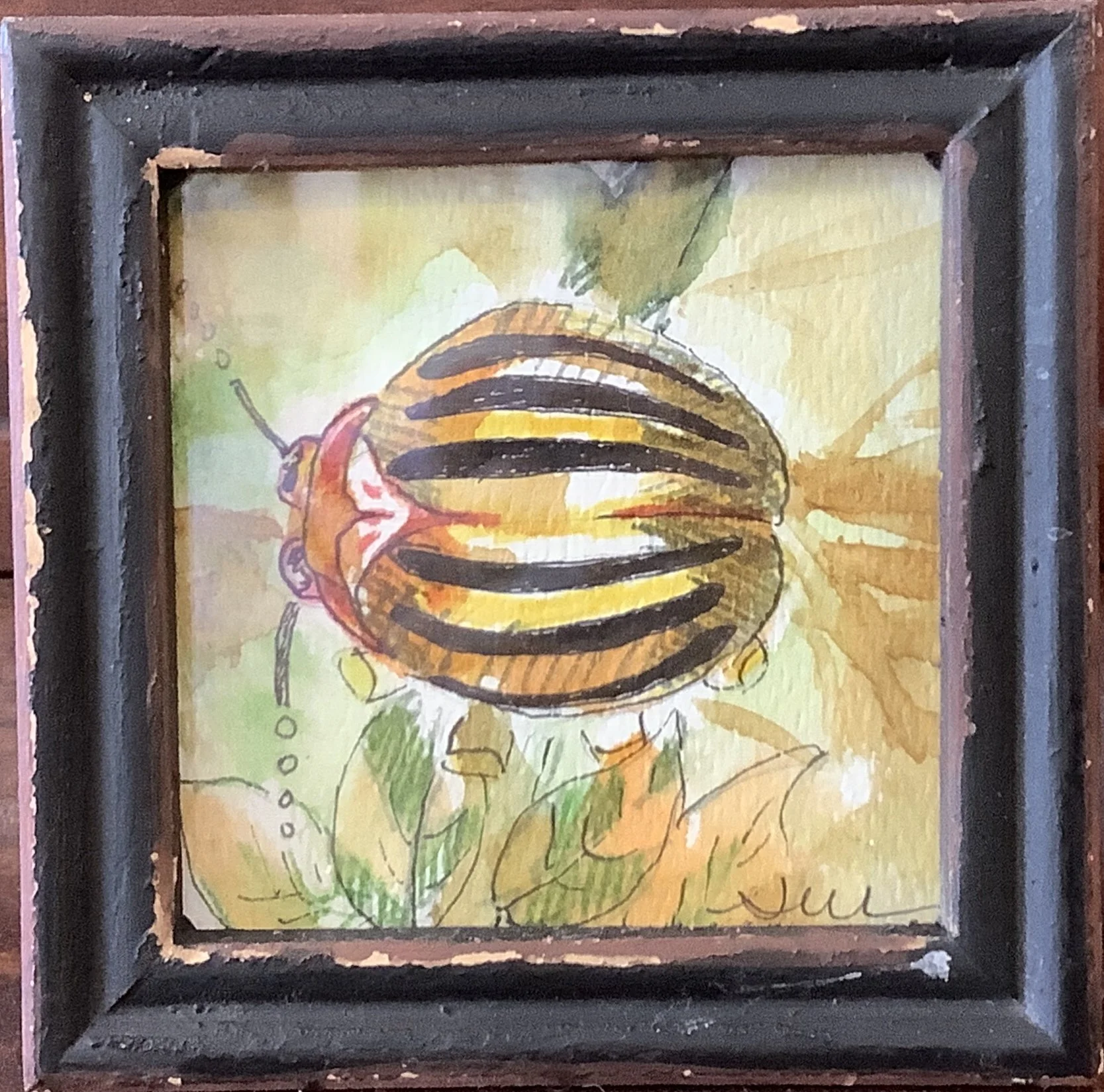 Stripy Beetle