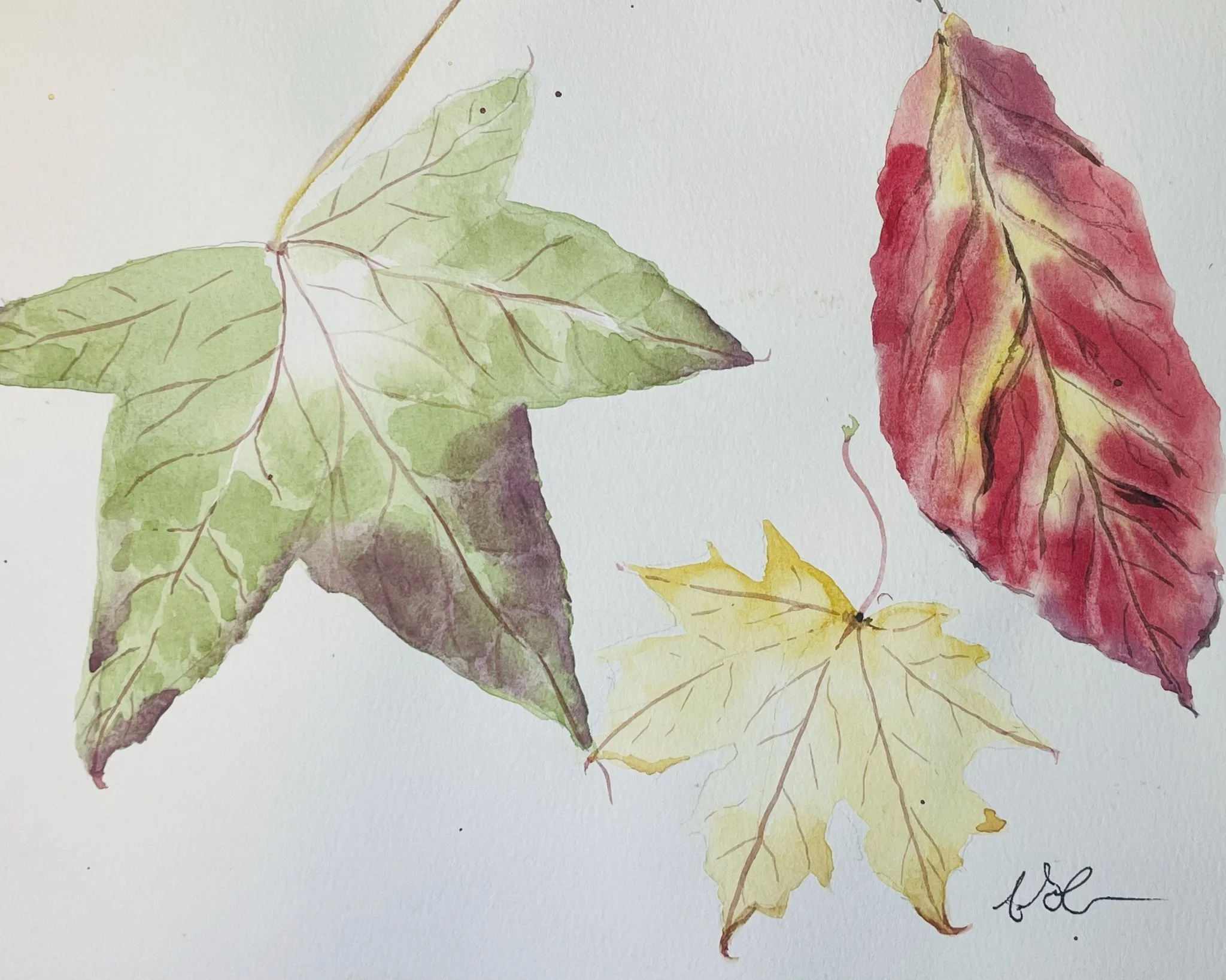 2026-06 Alyssa Grundmeyer - Fall Leaves.jpeg