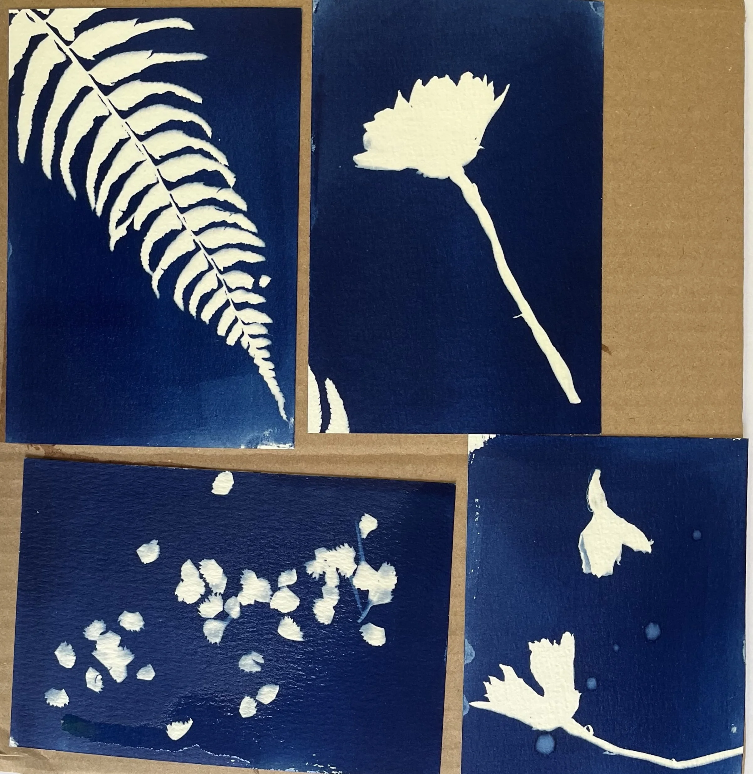 Baubles & Botanicals: Exploring Cyanotype with Audrey Lewis, July 26