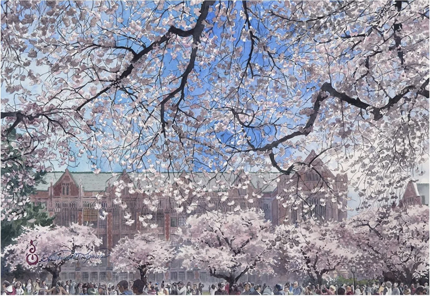 Hanami, Seattle
