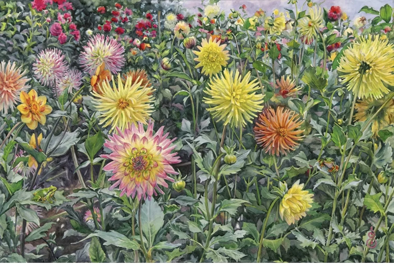 2026-03 Catherine James - Dahlia Fireworks.jpg