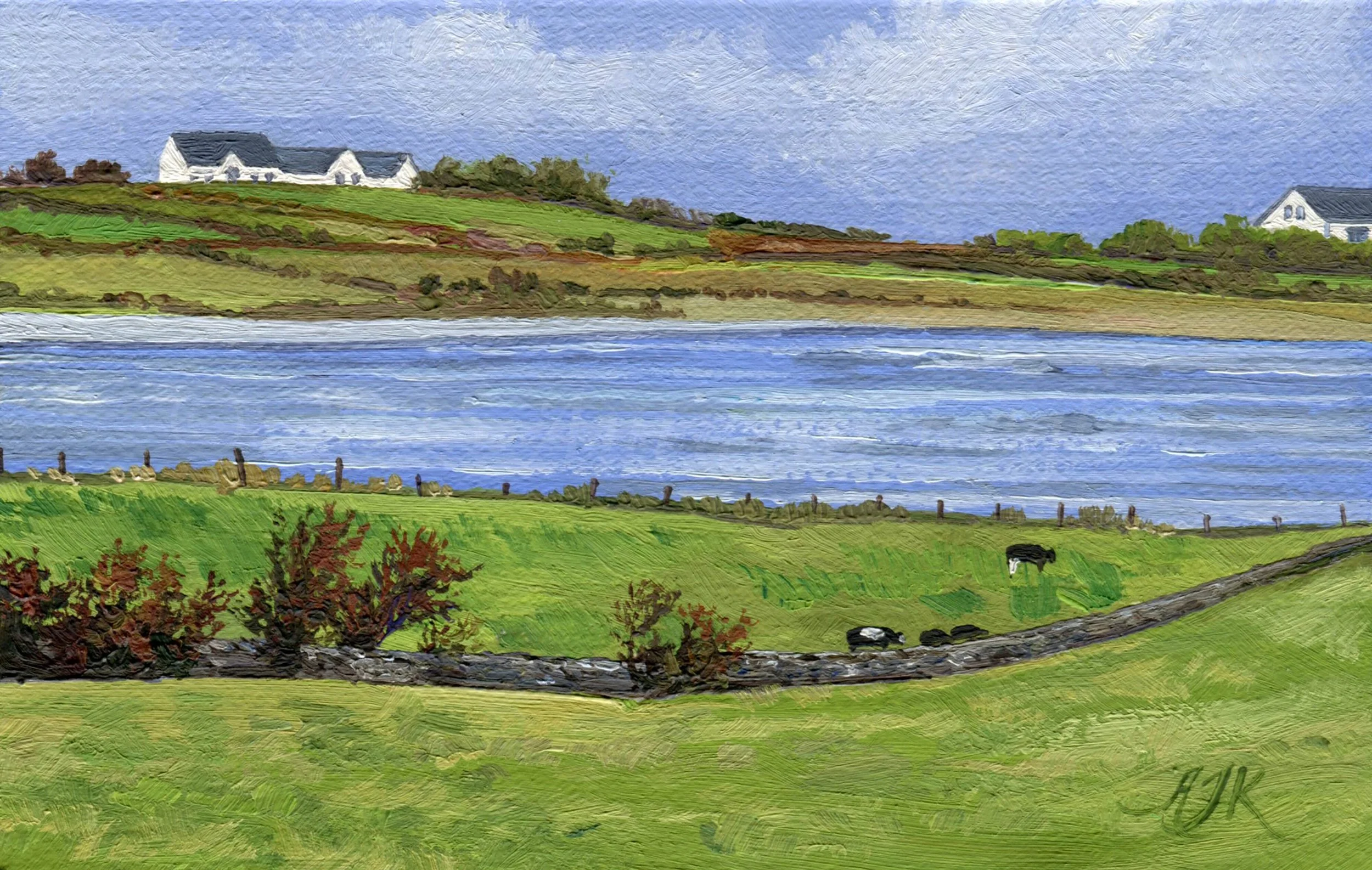 Farmhouses on the Flaggy Shore