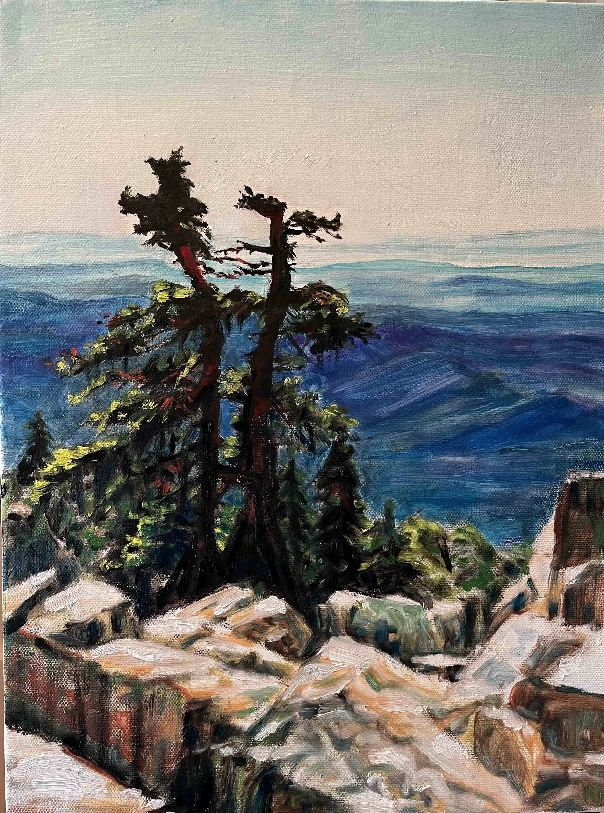 Mount Pilchuck: Old Friends